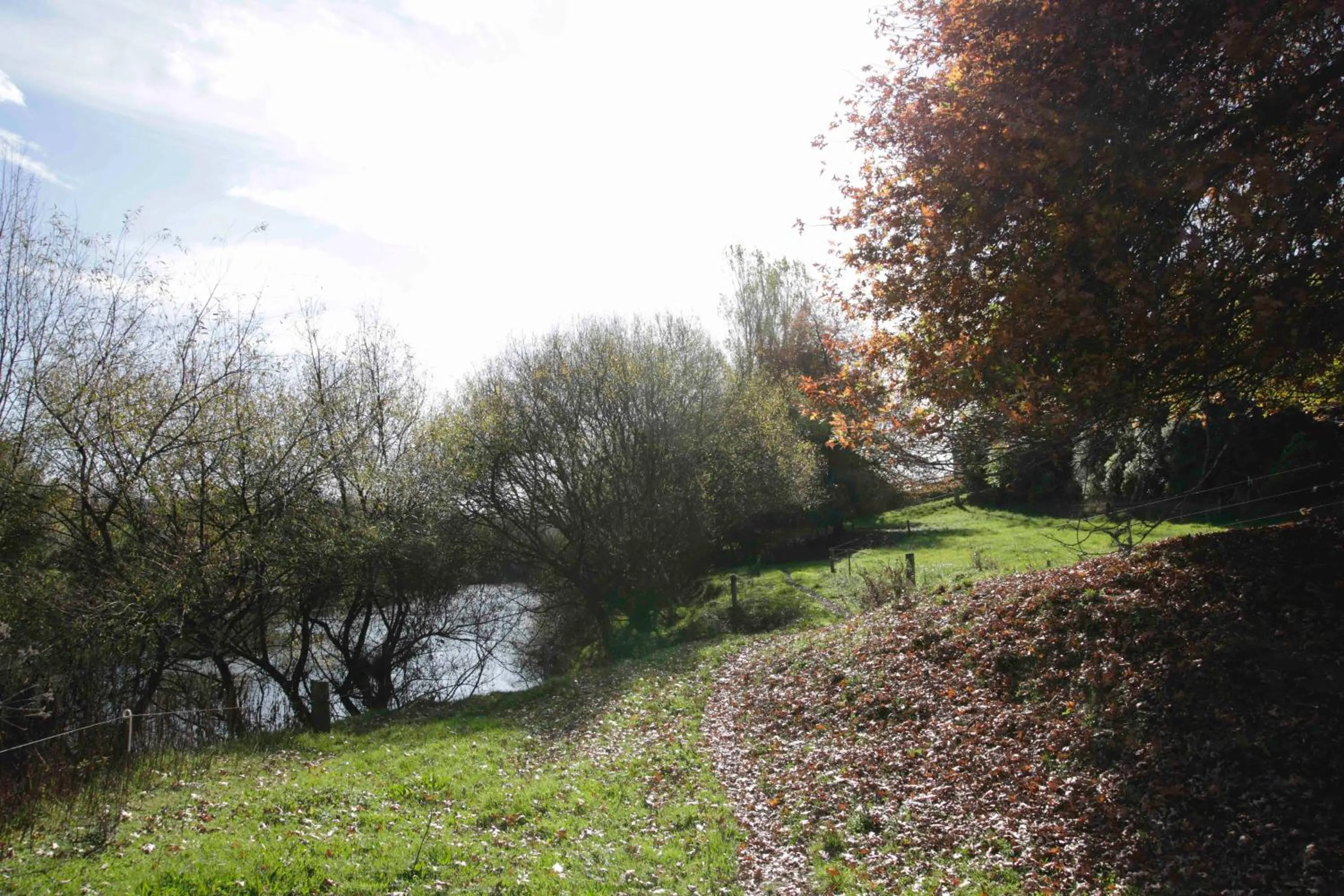 Natural landscape in Somersal Bed & Breakfast