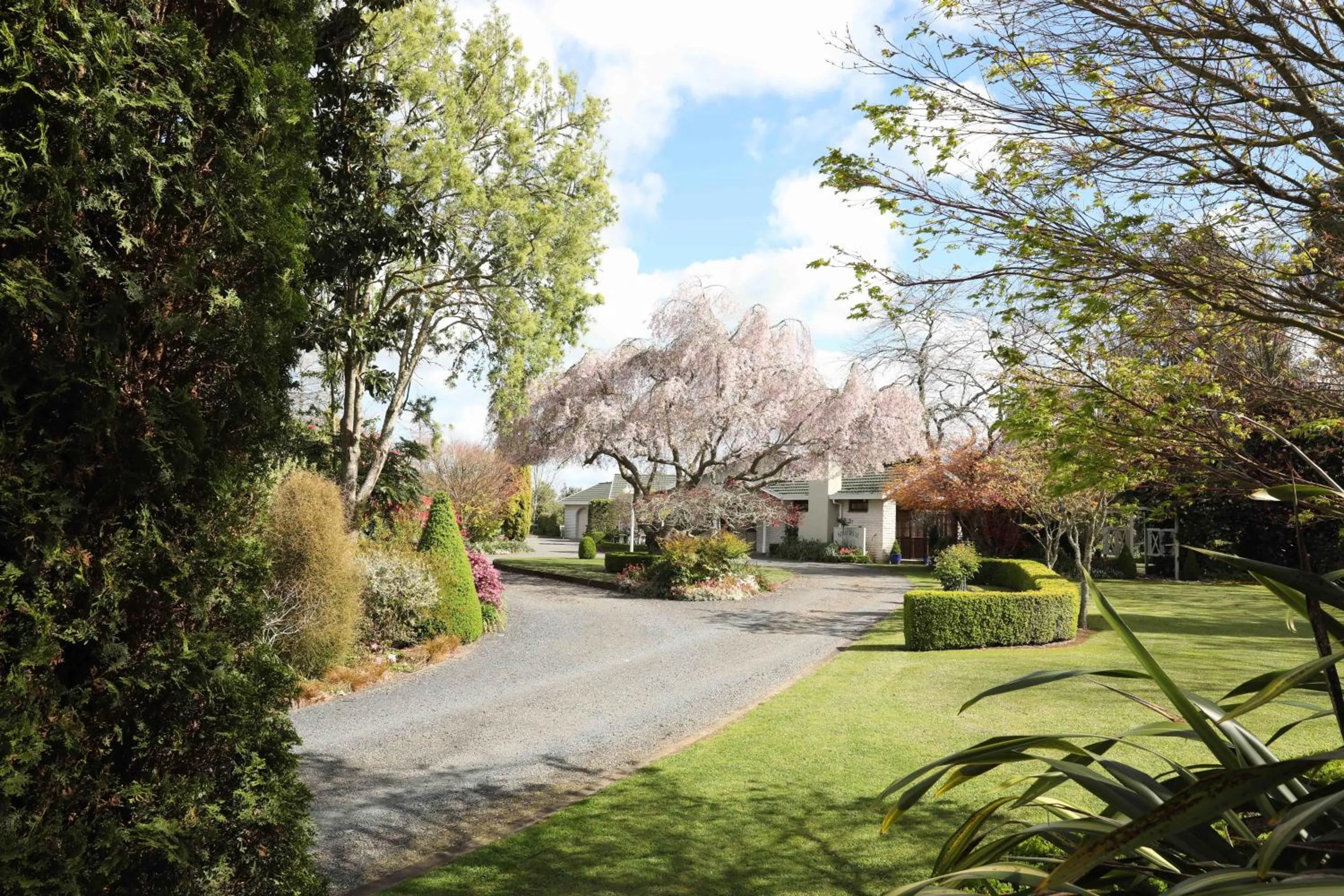 Garden in Somersal Bed & Breakfast