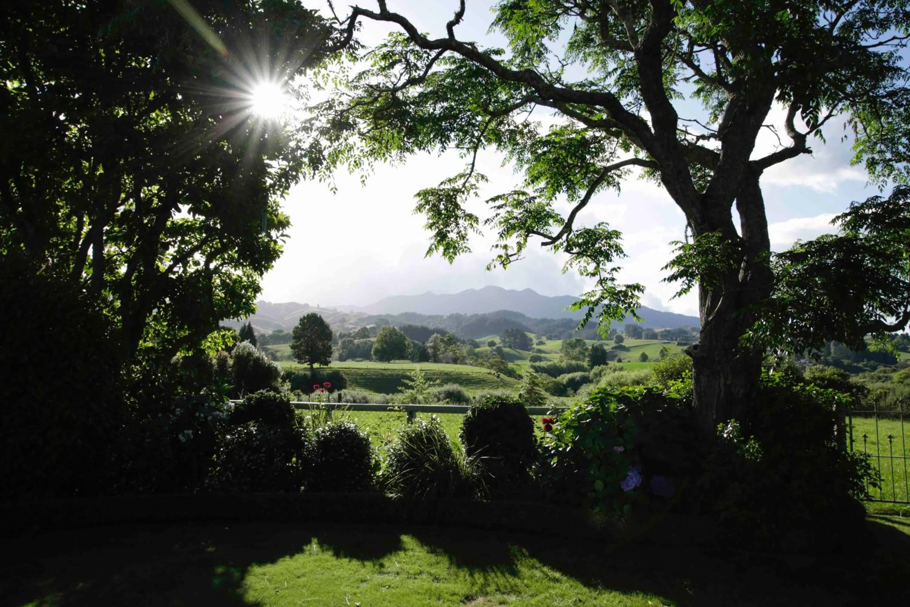 Natural landscape in Somersal Bed & Breakfast