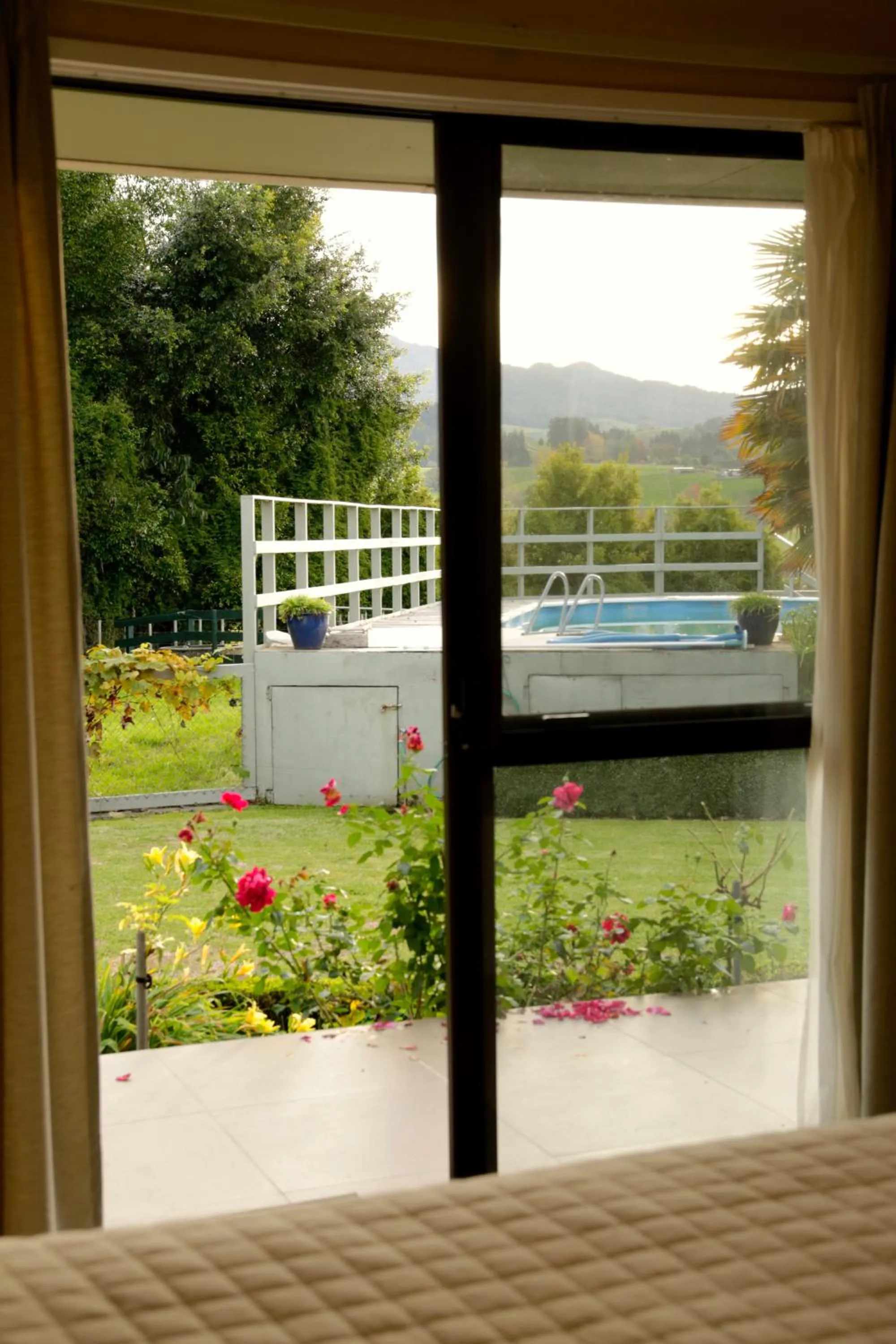 Garden view in Somersal Bed & Breakfast