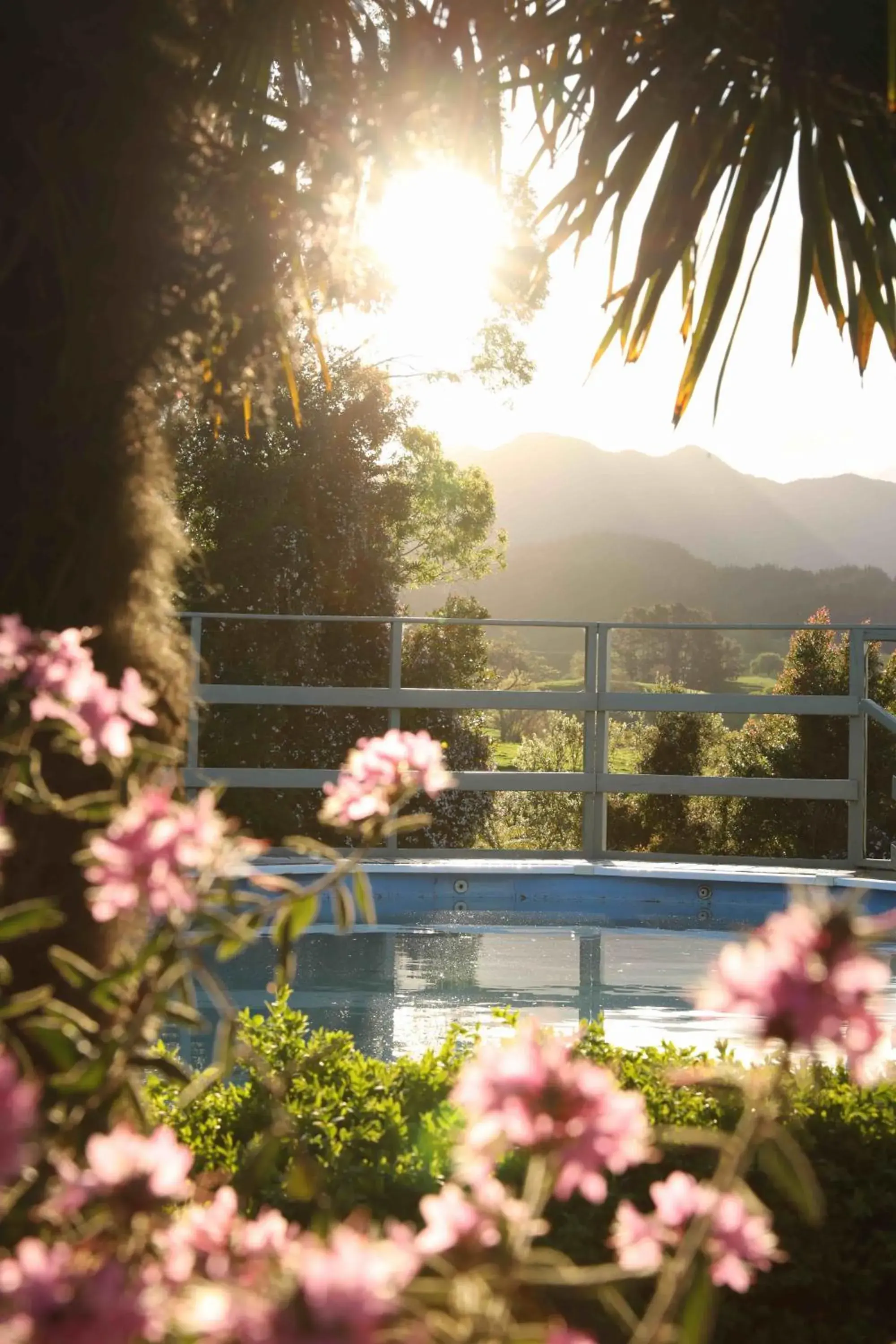 Pool view in Somersal Bed & Breakfast Pool view in Somersal Bed & Breakfast