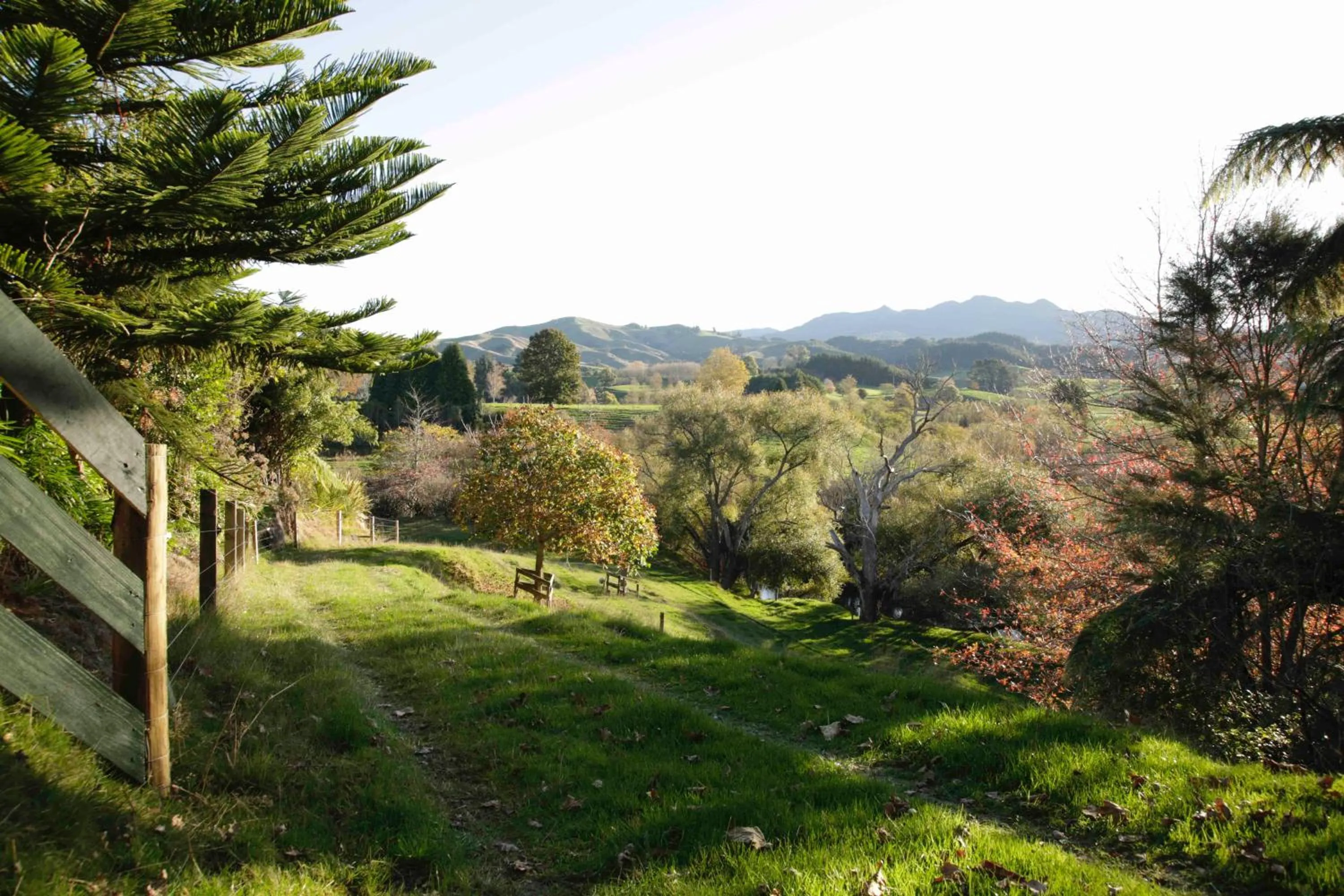 Natural landscape in Somersal Bed & Breakfast