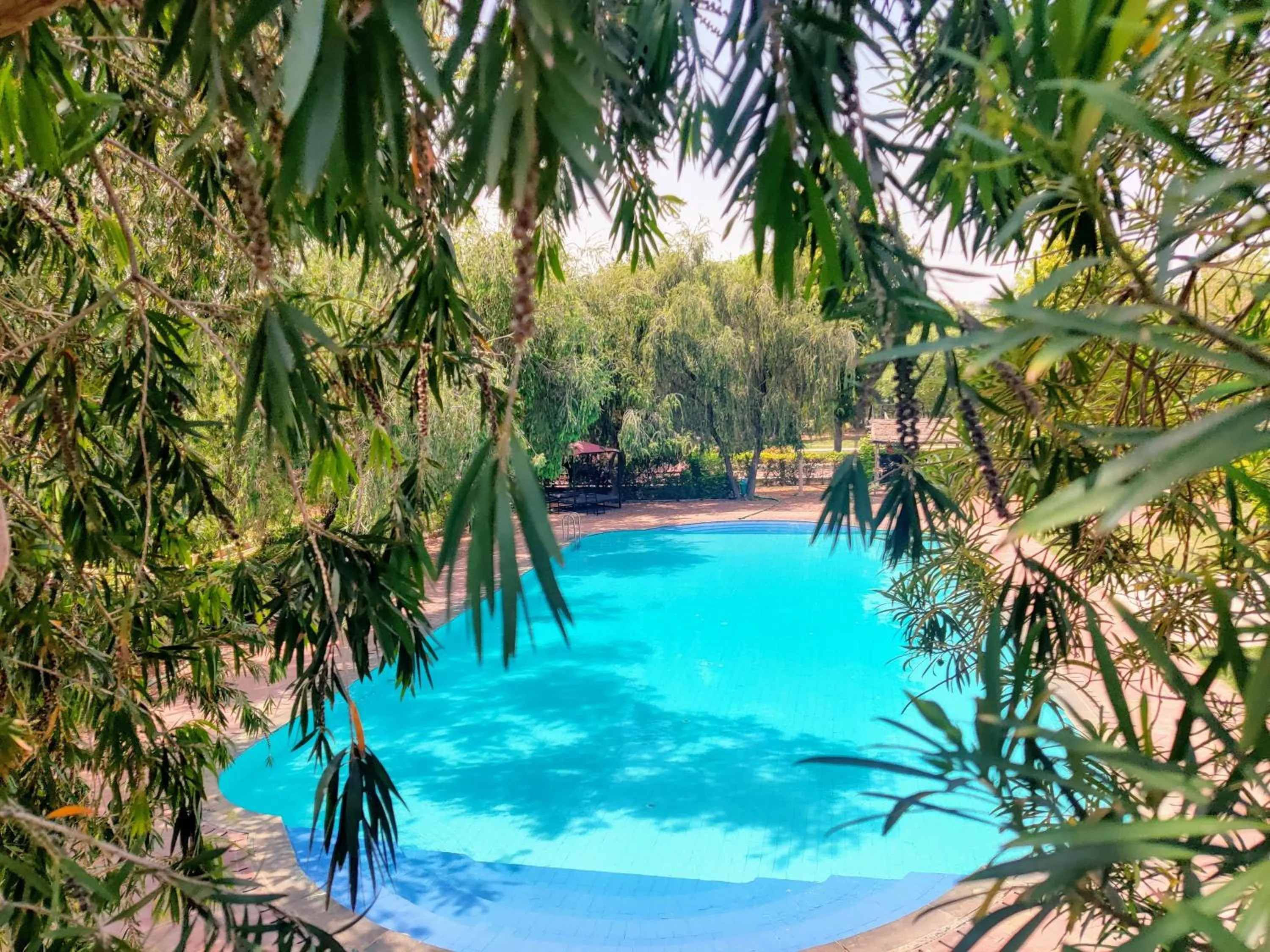 Swimming pool in Umaid Palace - A Lakeside Resort - 25 minutes from Mehandipur Balaji - 20 minutes from Chand Baori Stepwell Abhaneri & 40 minutes from Bhangarh Fort