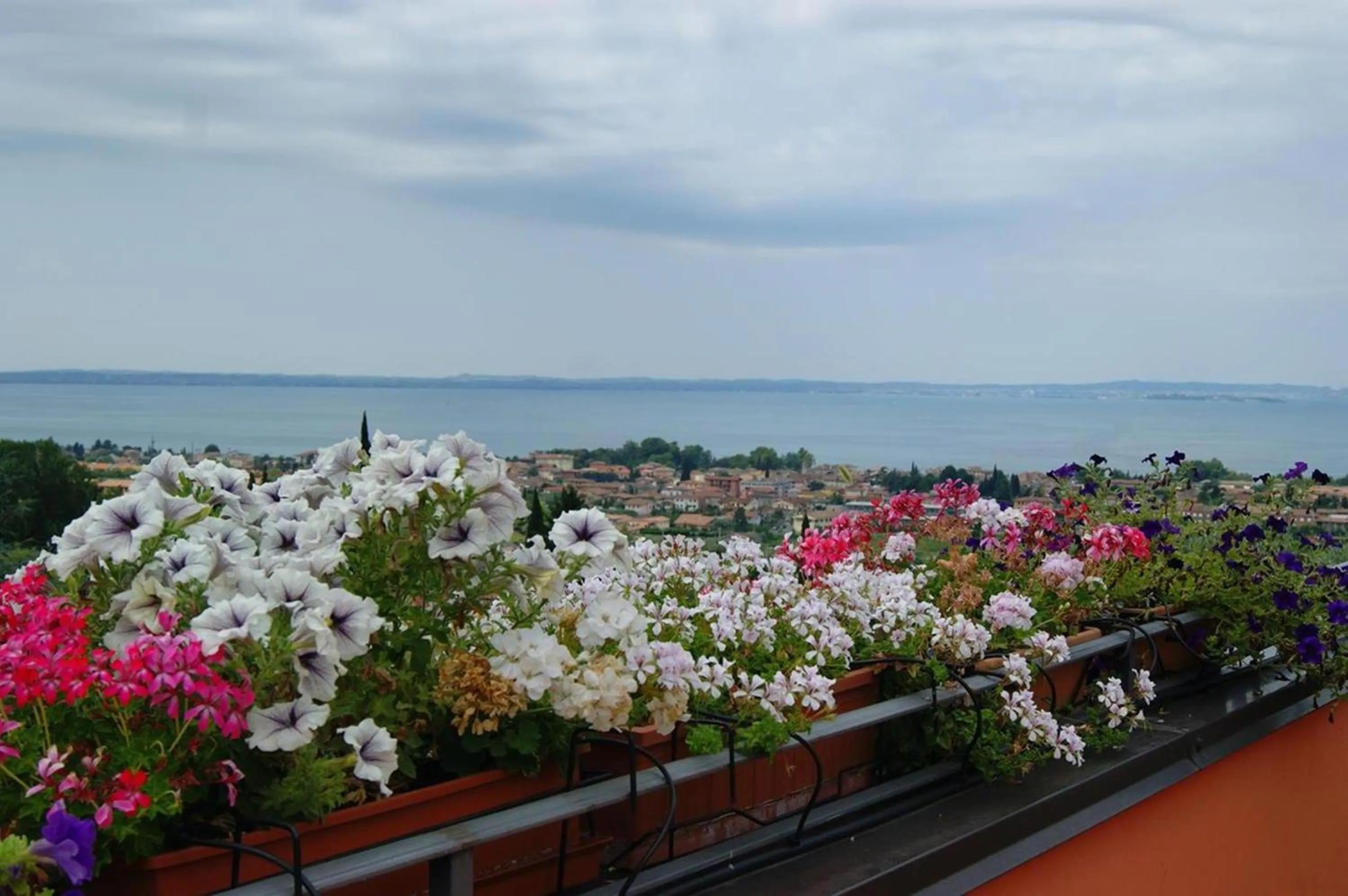 Sea view in B&B Corte Frisonai