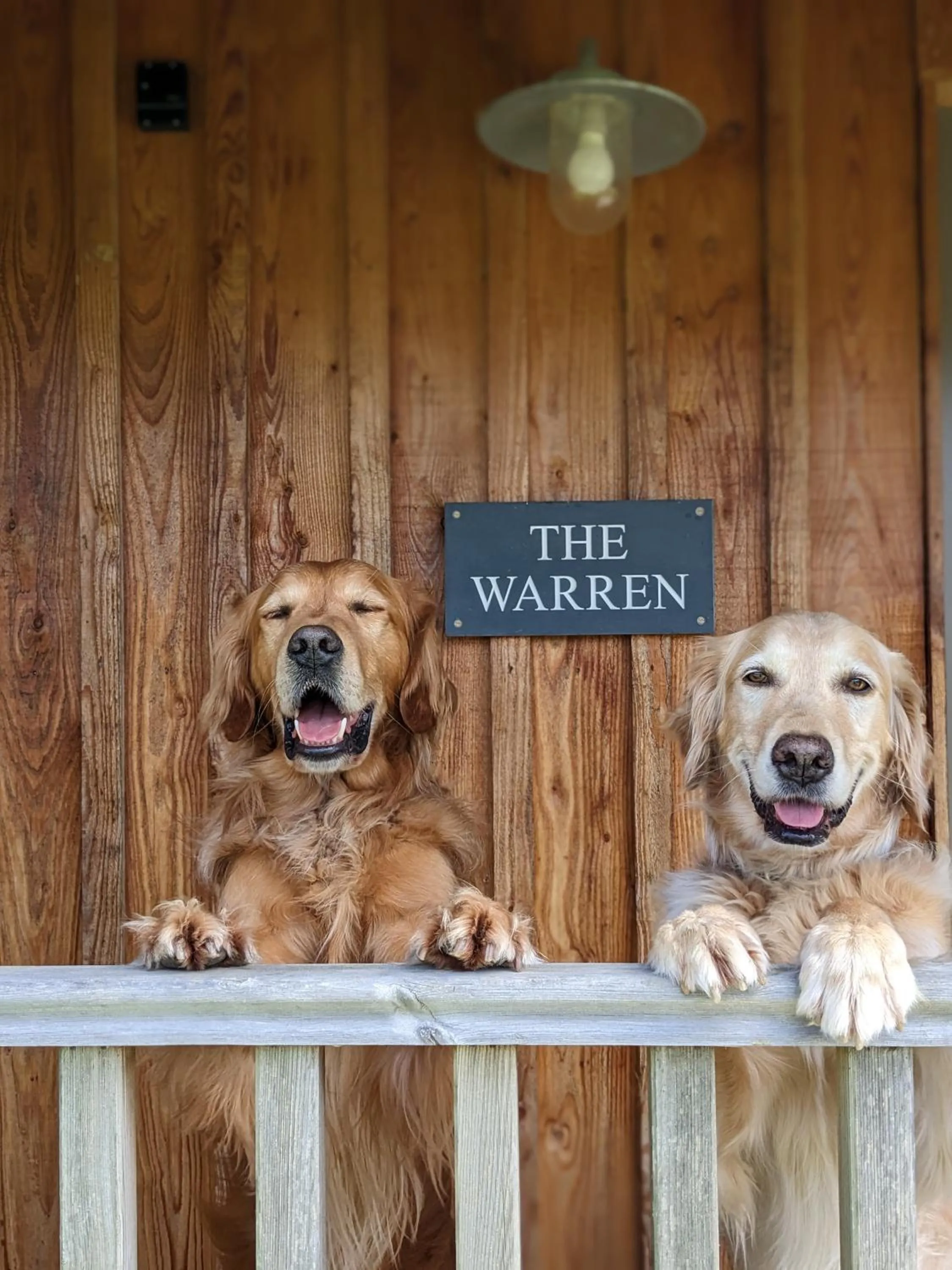 Pets in Retreat East