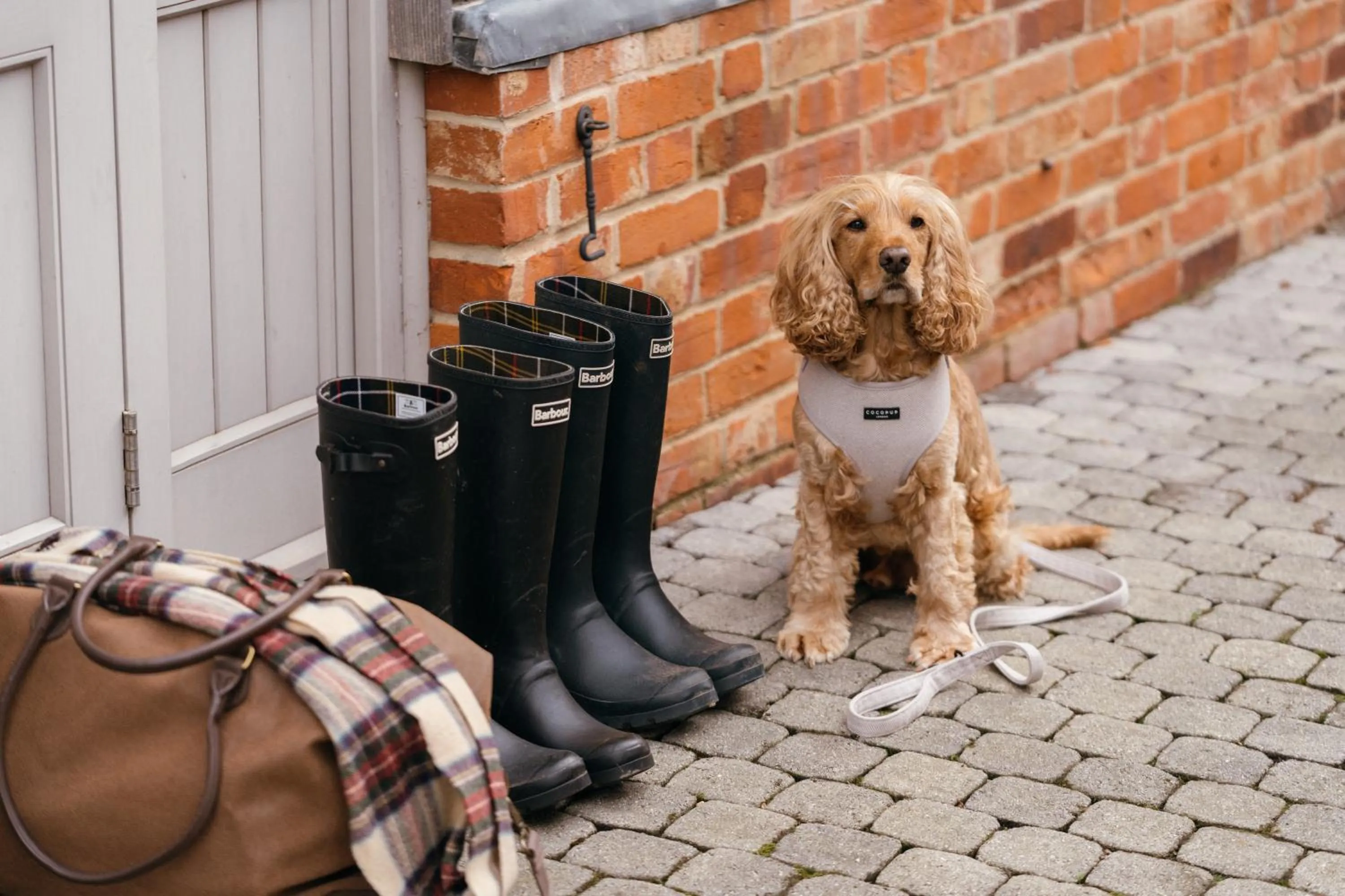 Pets in Retreat East