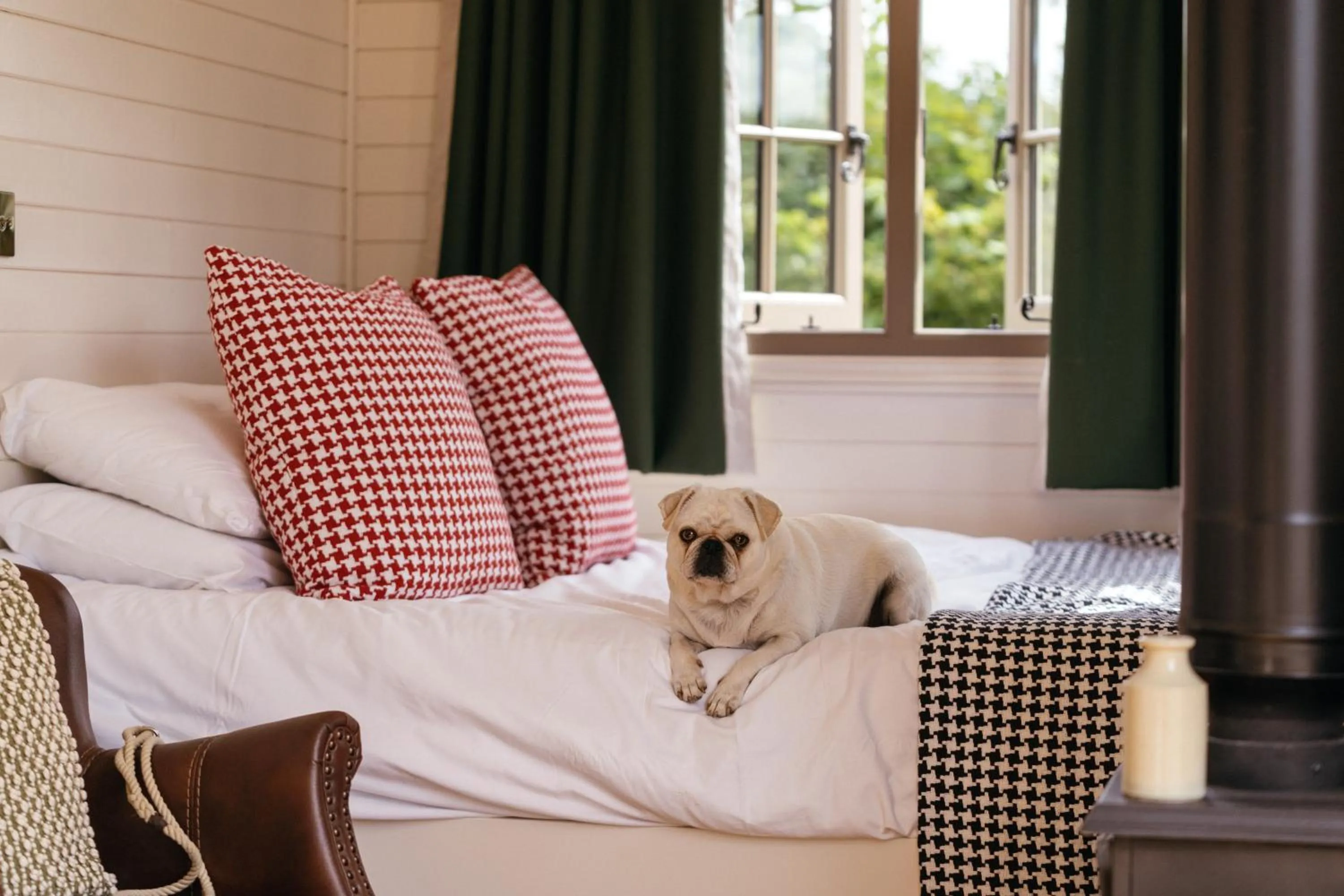 Pets in Retreat East