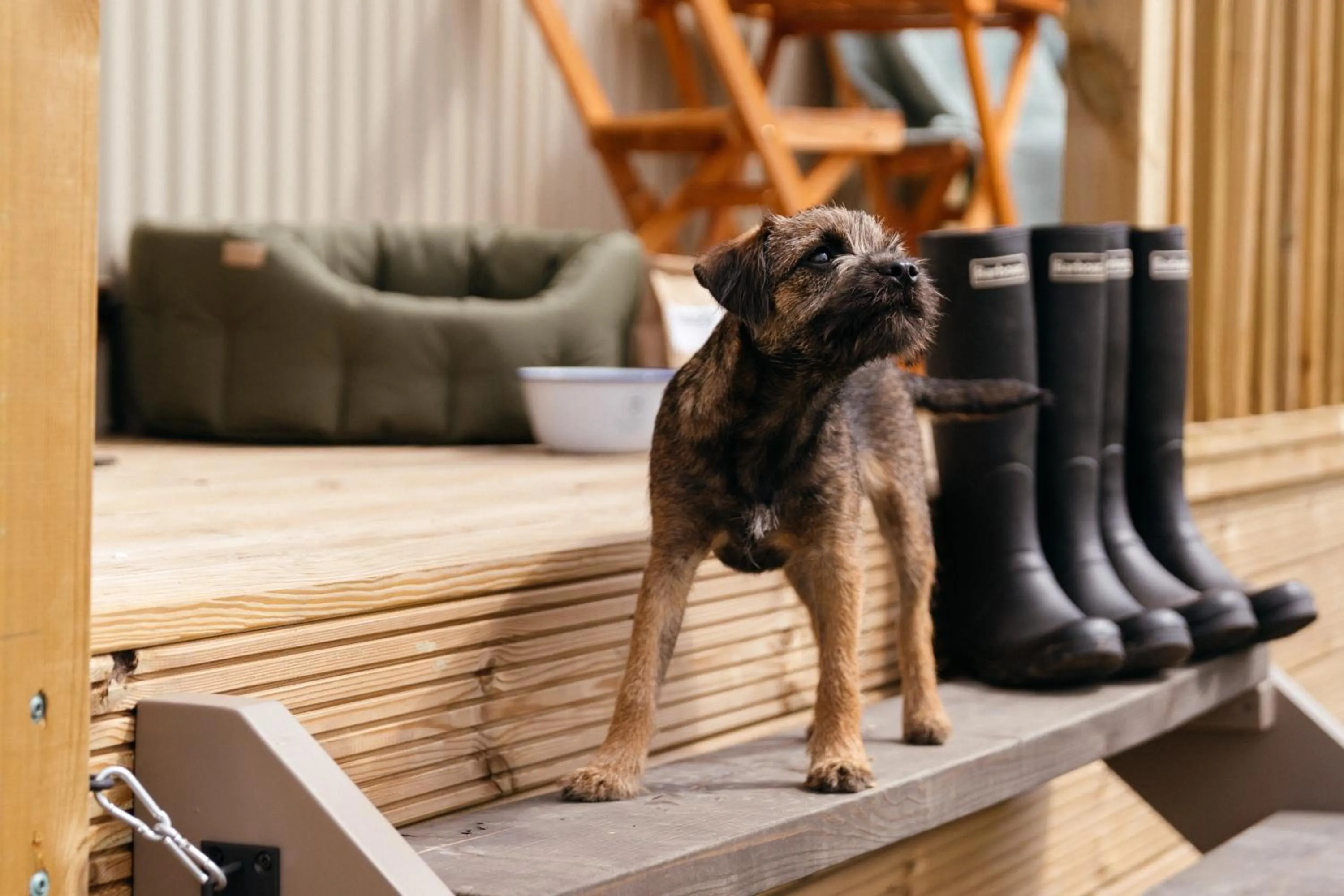 Pets in Retreat East