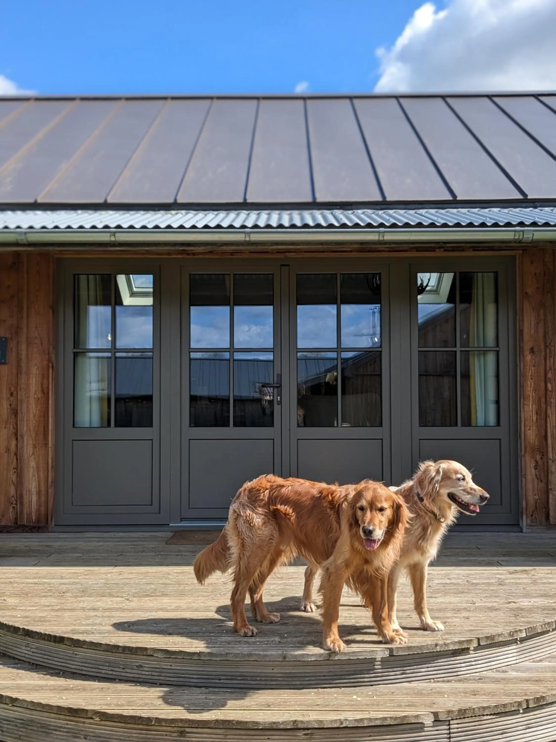 Pets in Retreat East