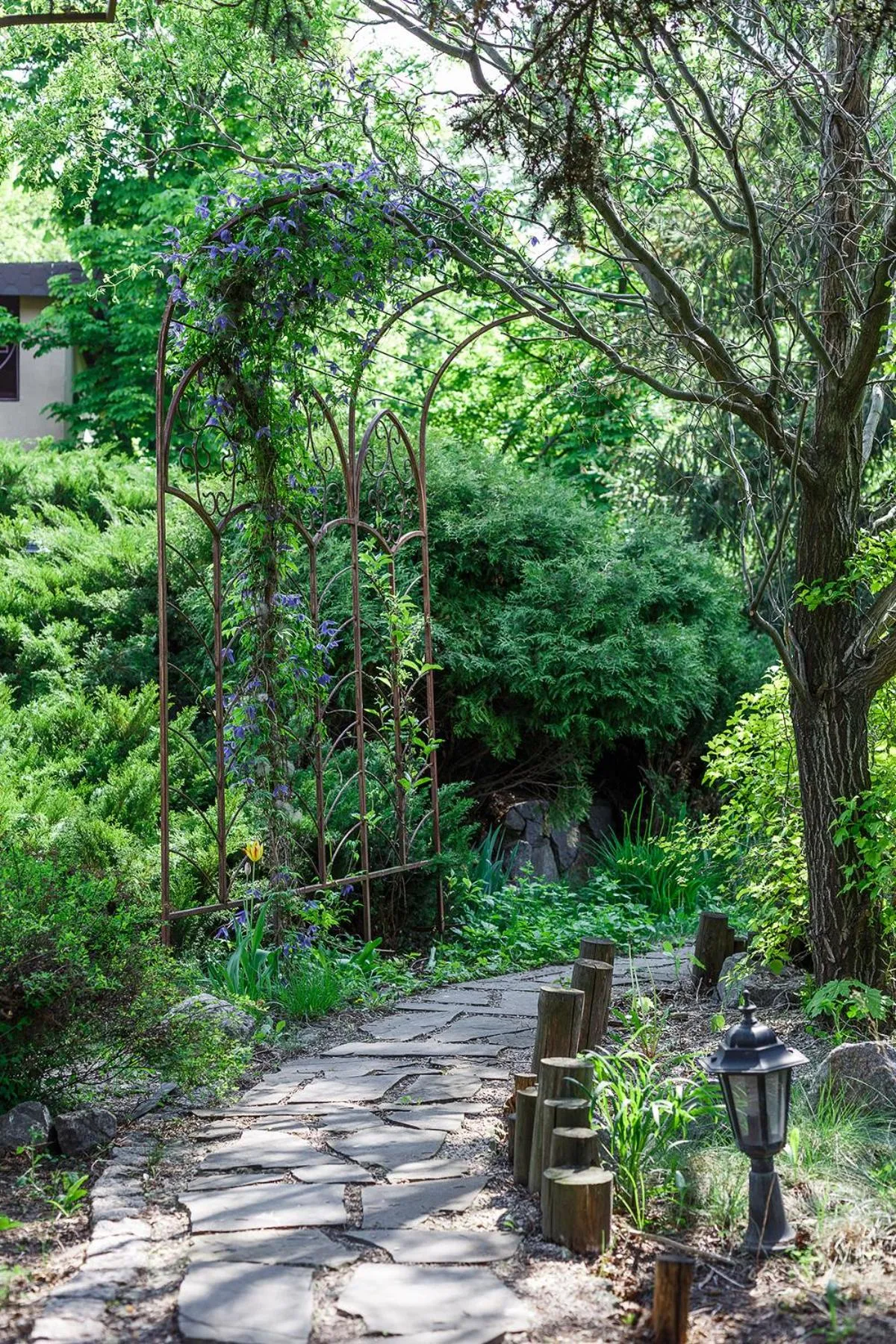 Natural landscape in Britaniya