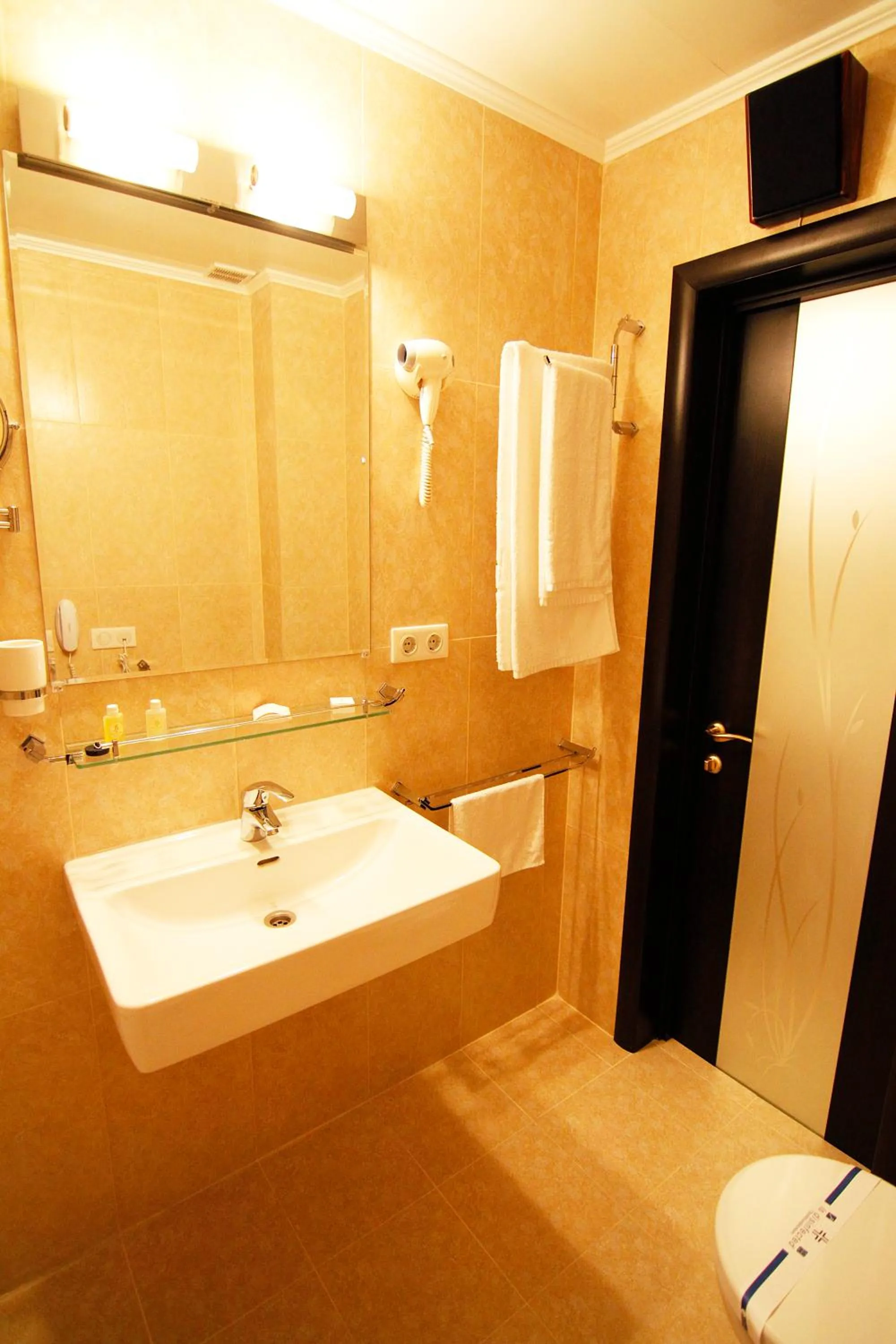 Bathroom in Britaniya