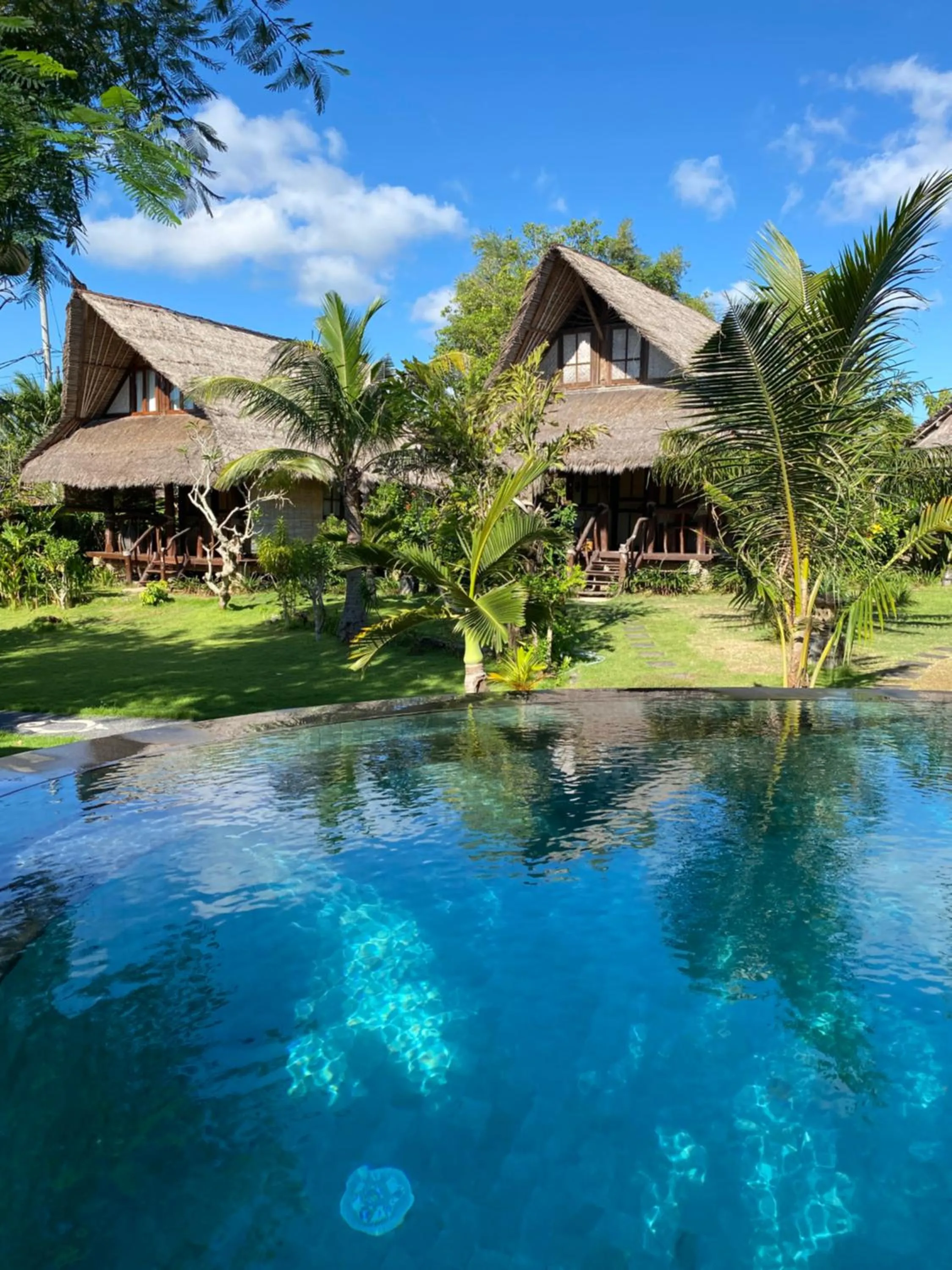 Flower Bud Bungalow Balangan