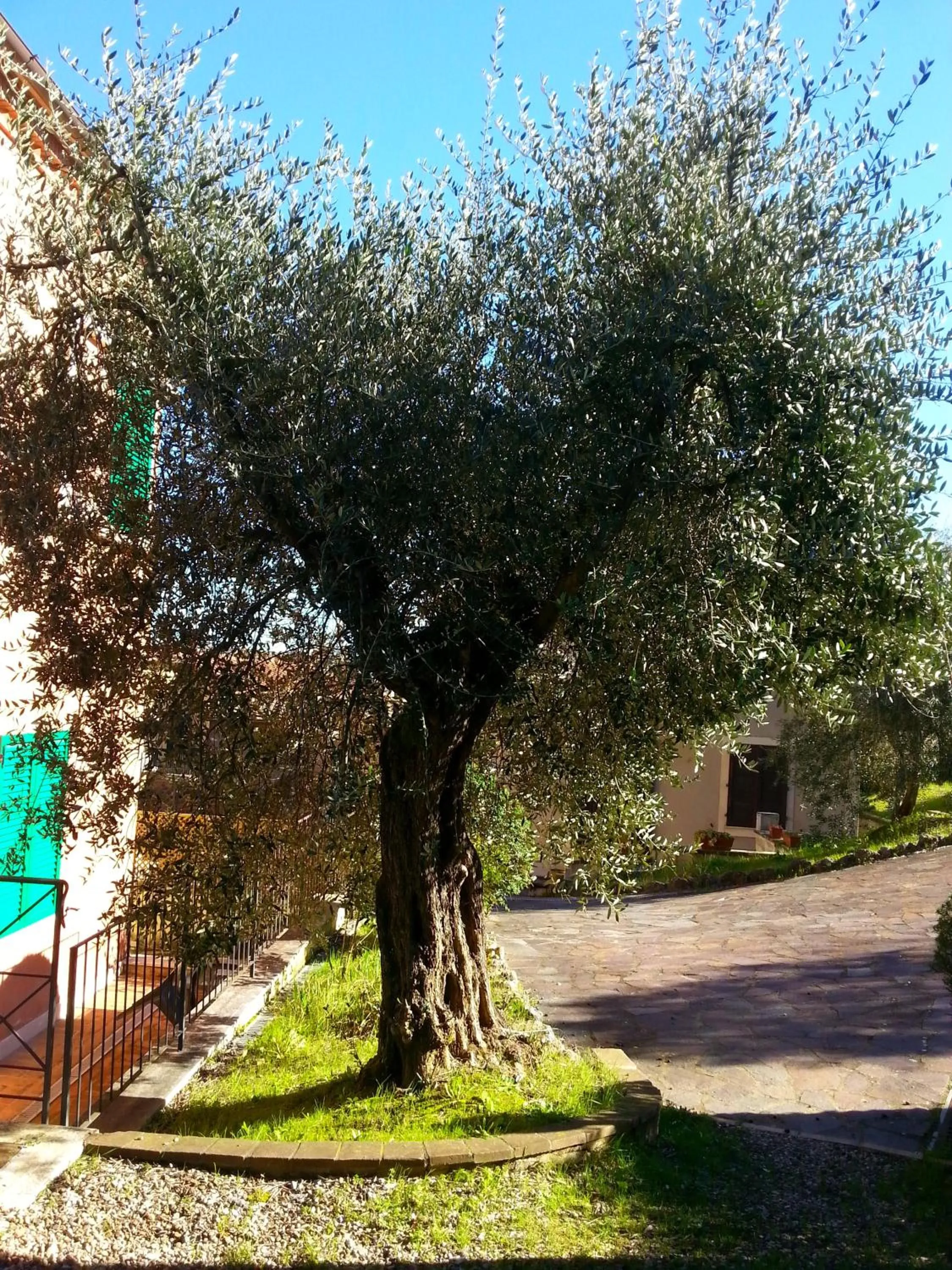 Day in Residence Le Meridiane