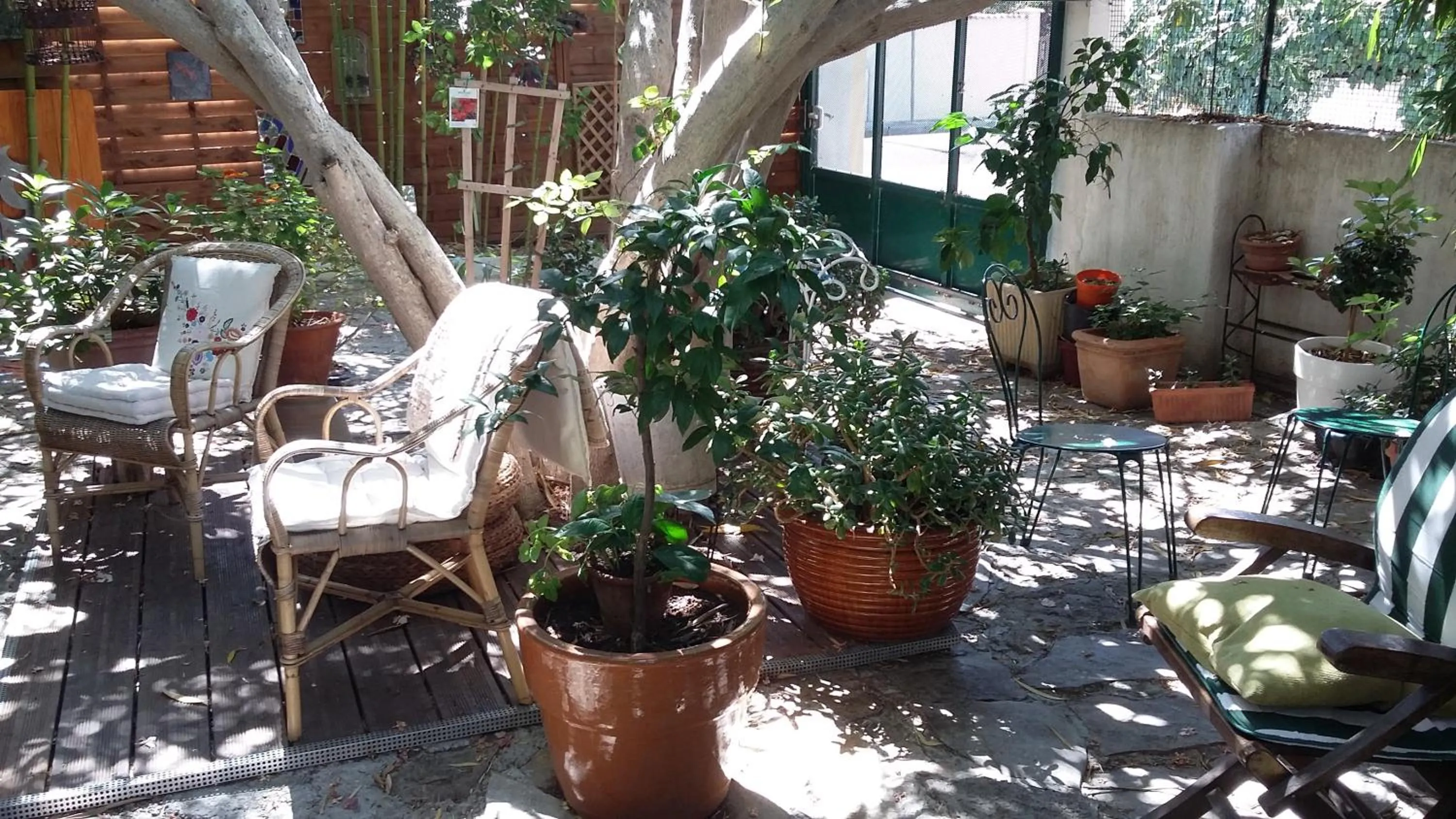 Balcony/Terrace in Cielito Lindo
