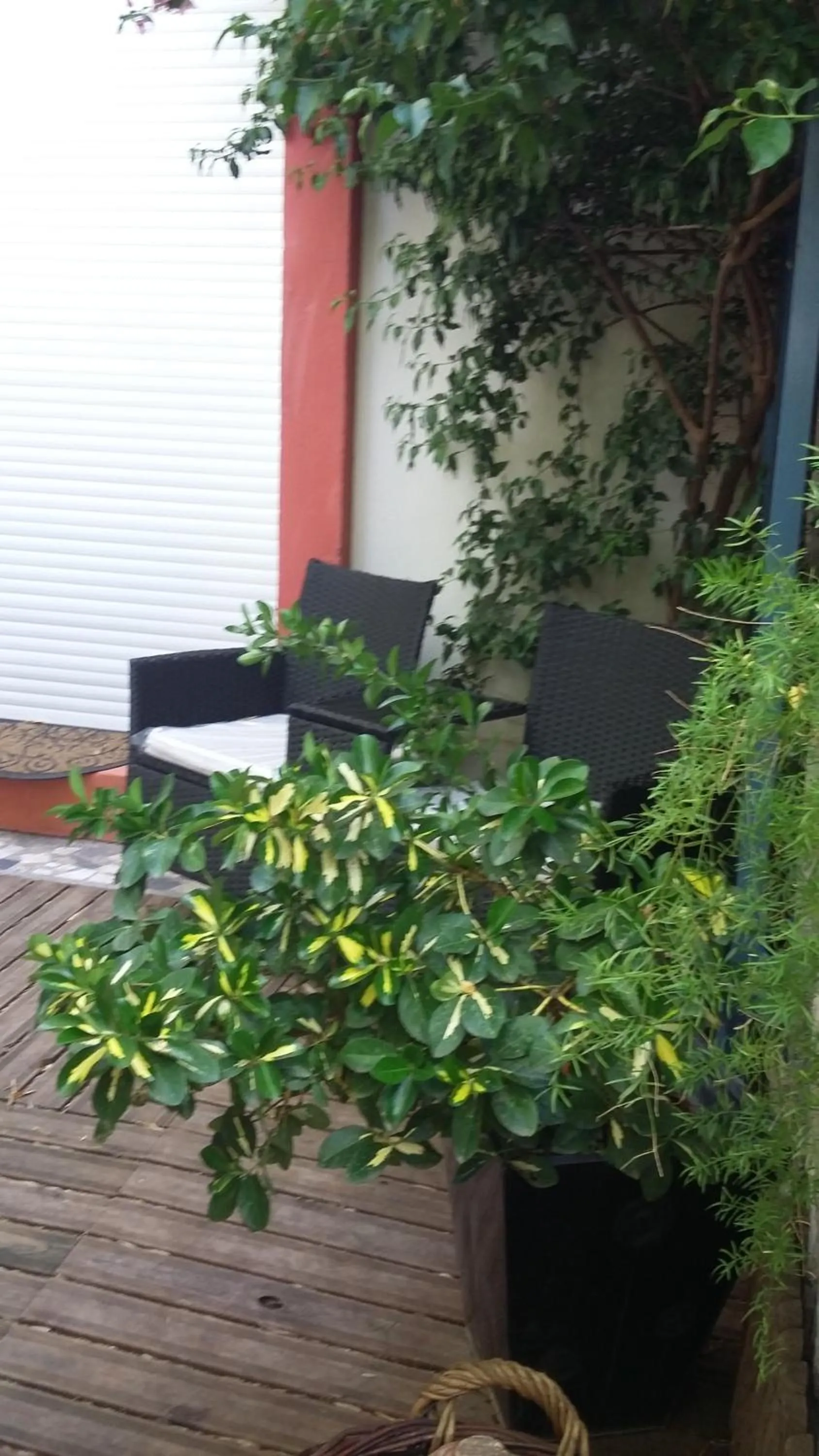 View (from property/room) in Cielito Lindo