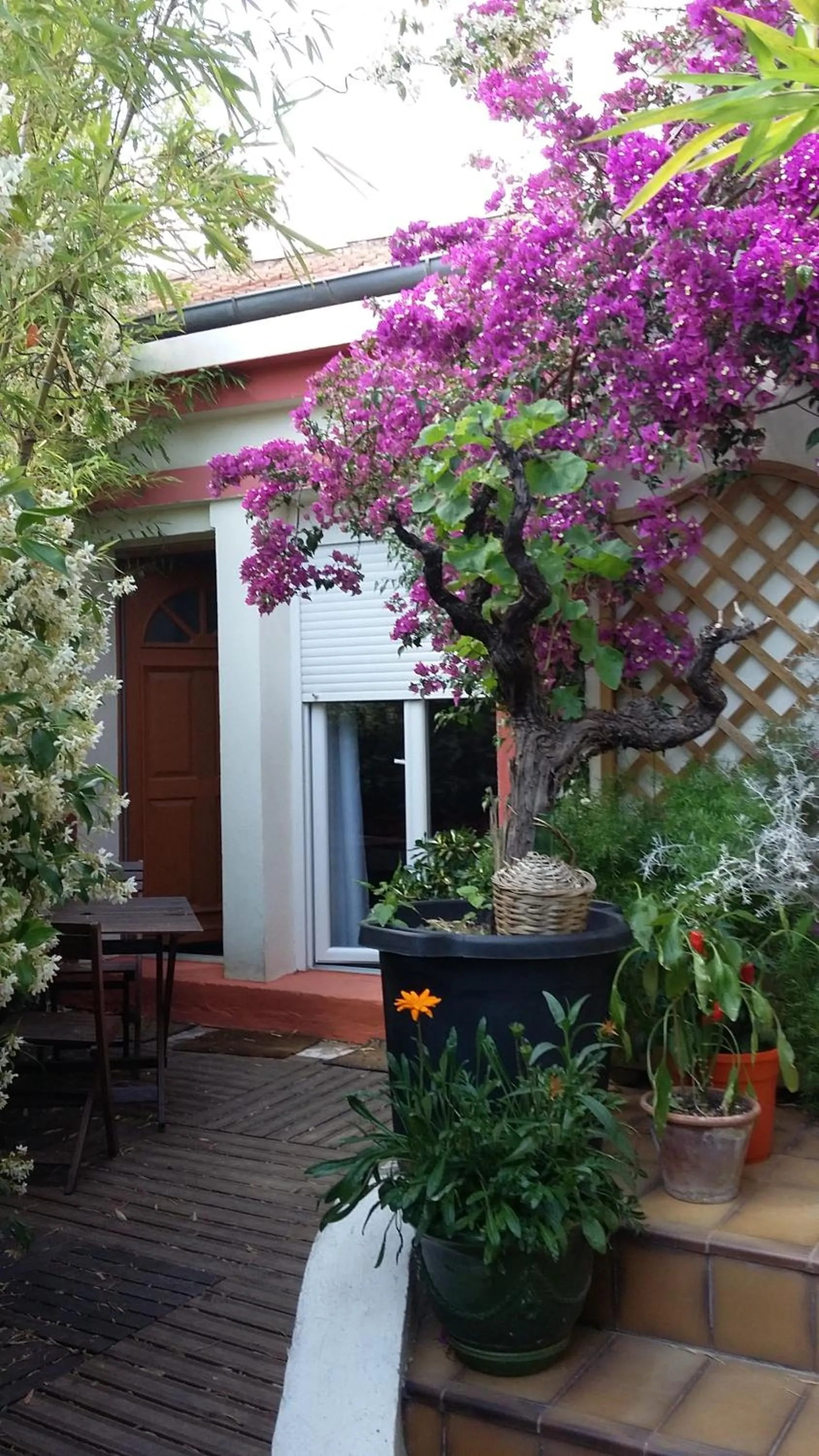 Balcony/Terrace in Cielito Lindo