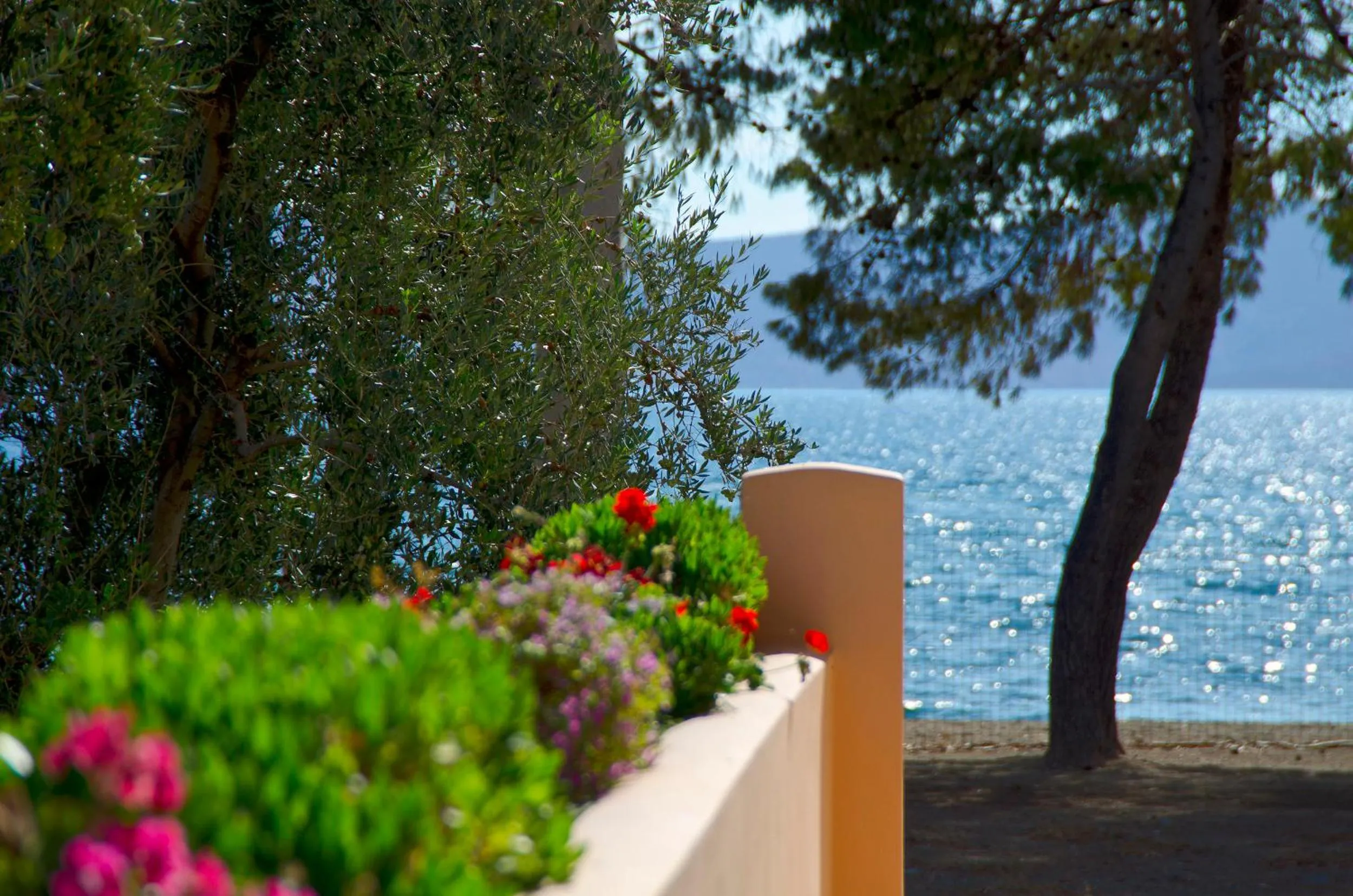 View (from property/room) in Makis Inn Resort