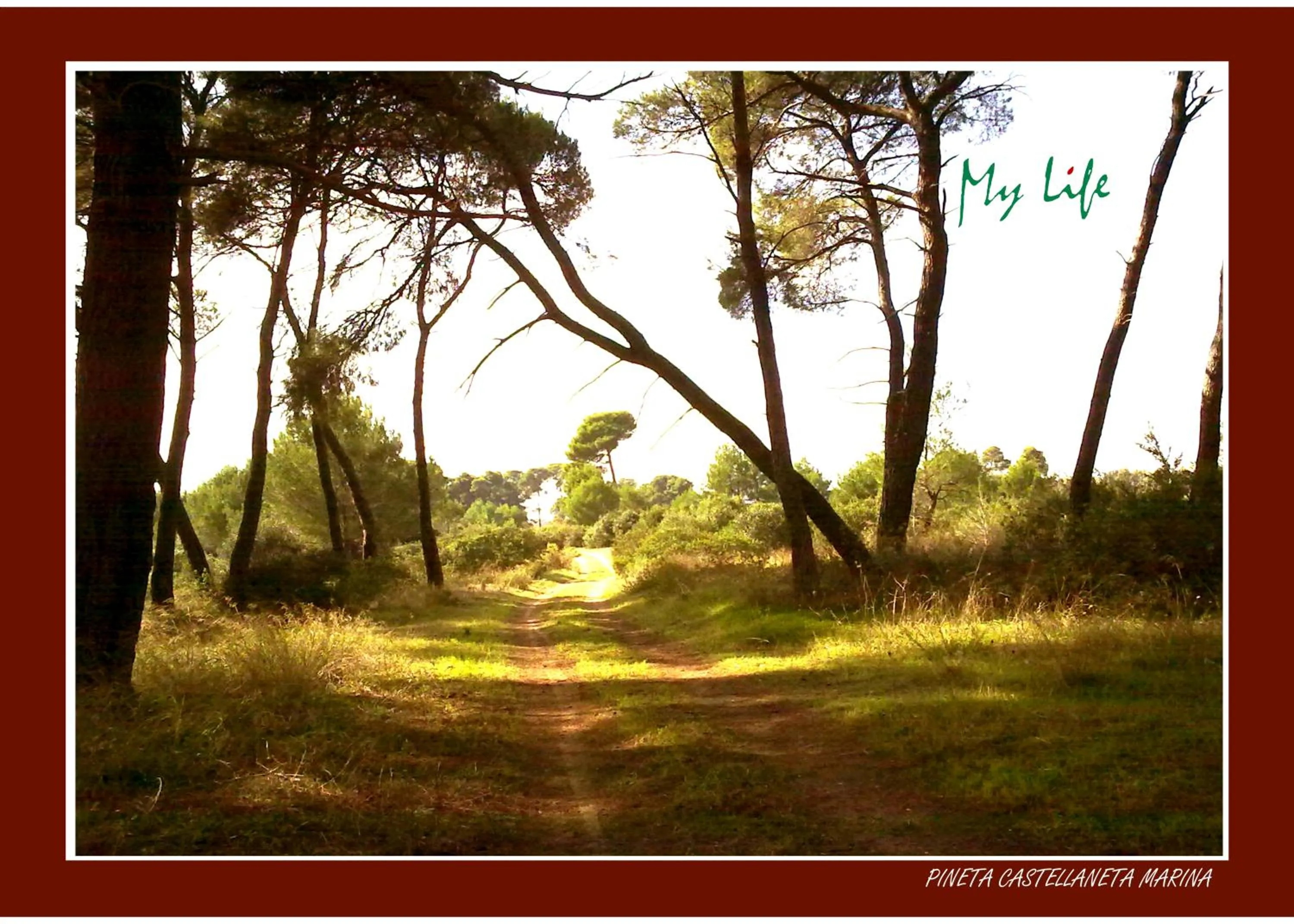 Natural landscape in MyLife B&B Country House