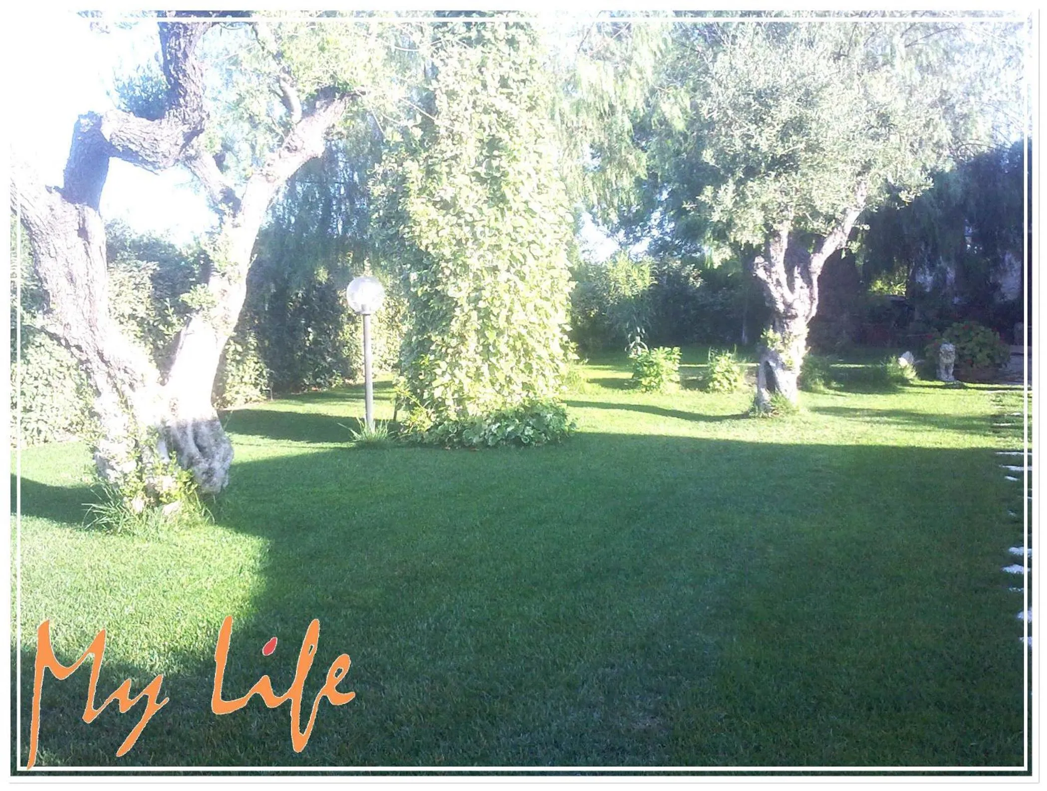 On site in MyLife B&B Country House