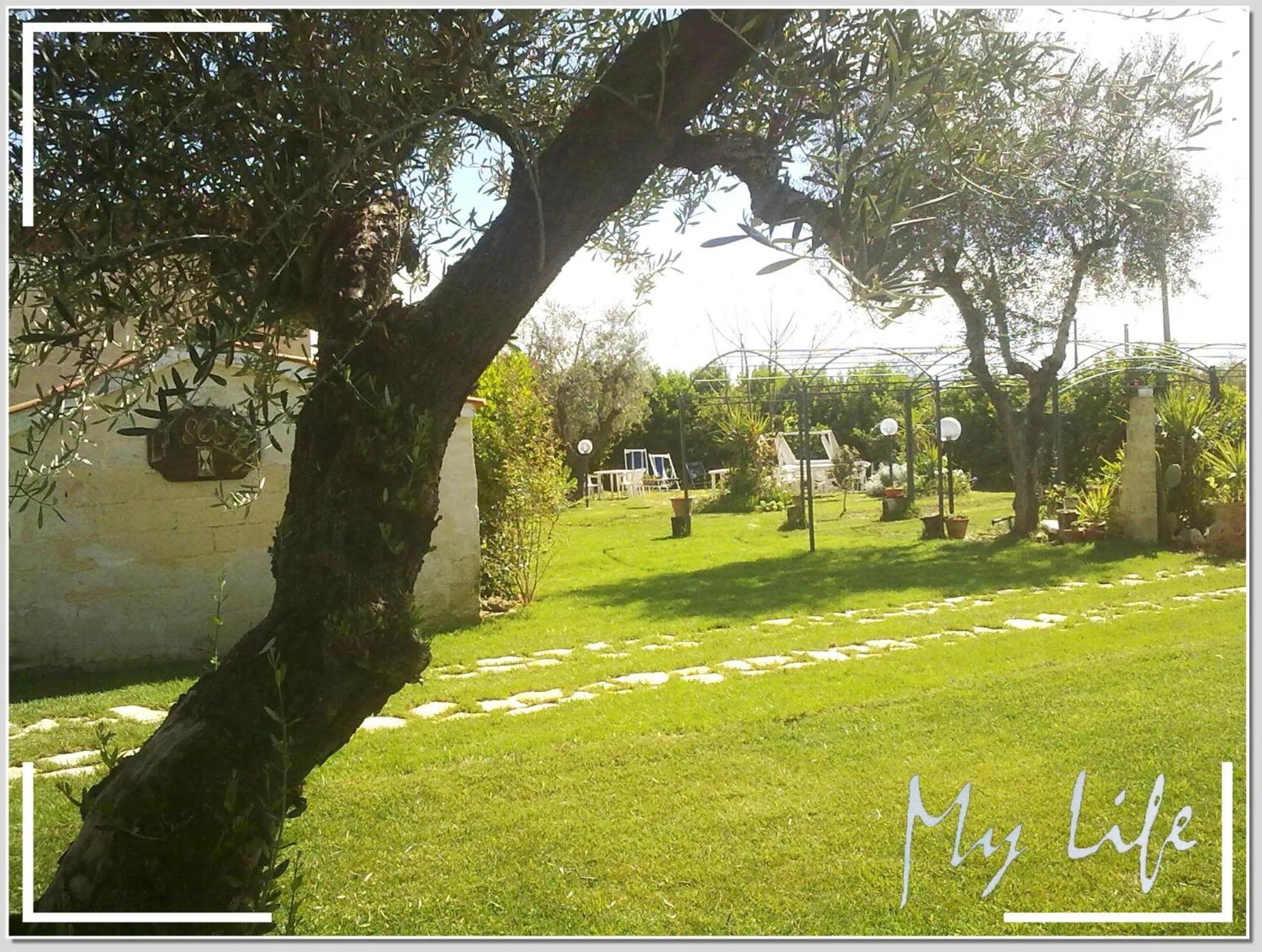 Garden view in MyLife B&B Country House