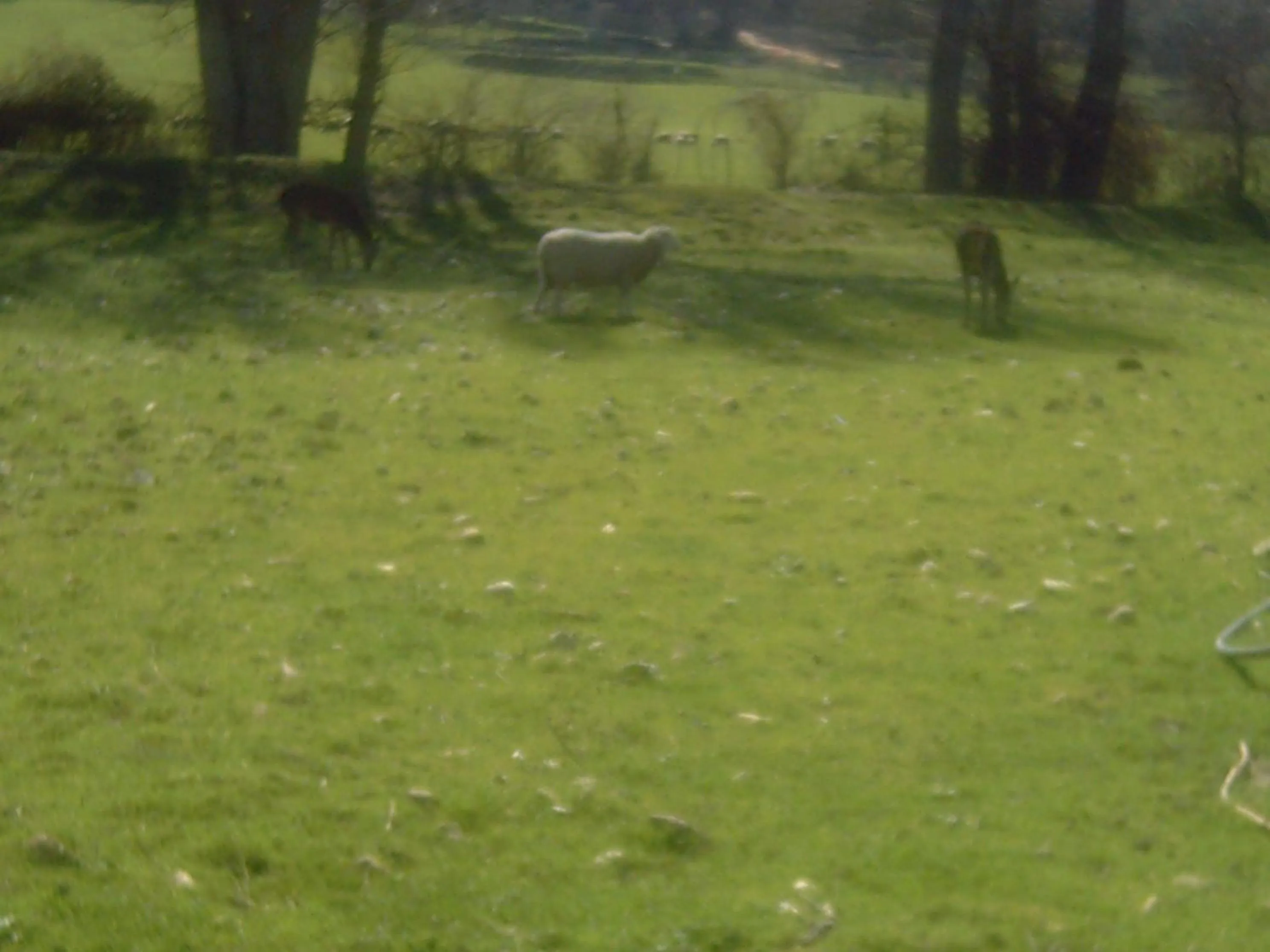 Hostal Rural Venta La Vega