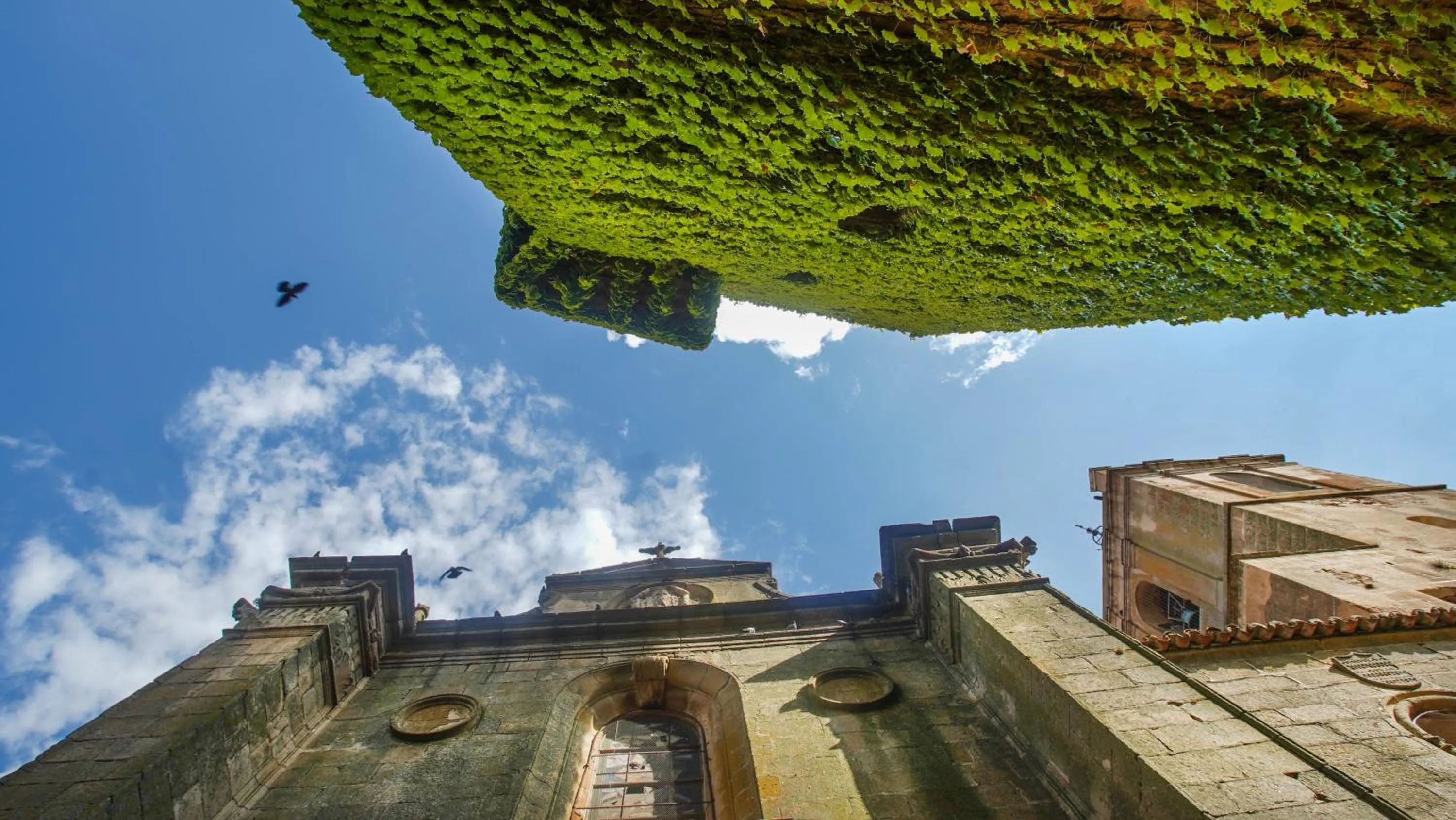 Nearby landmark in Apartamentos Soho Boutique Plaza Mayor Caceres