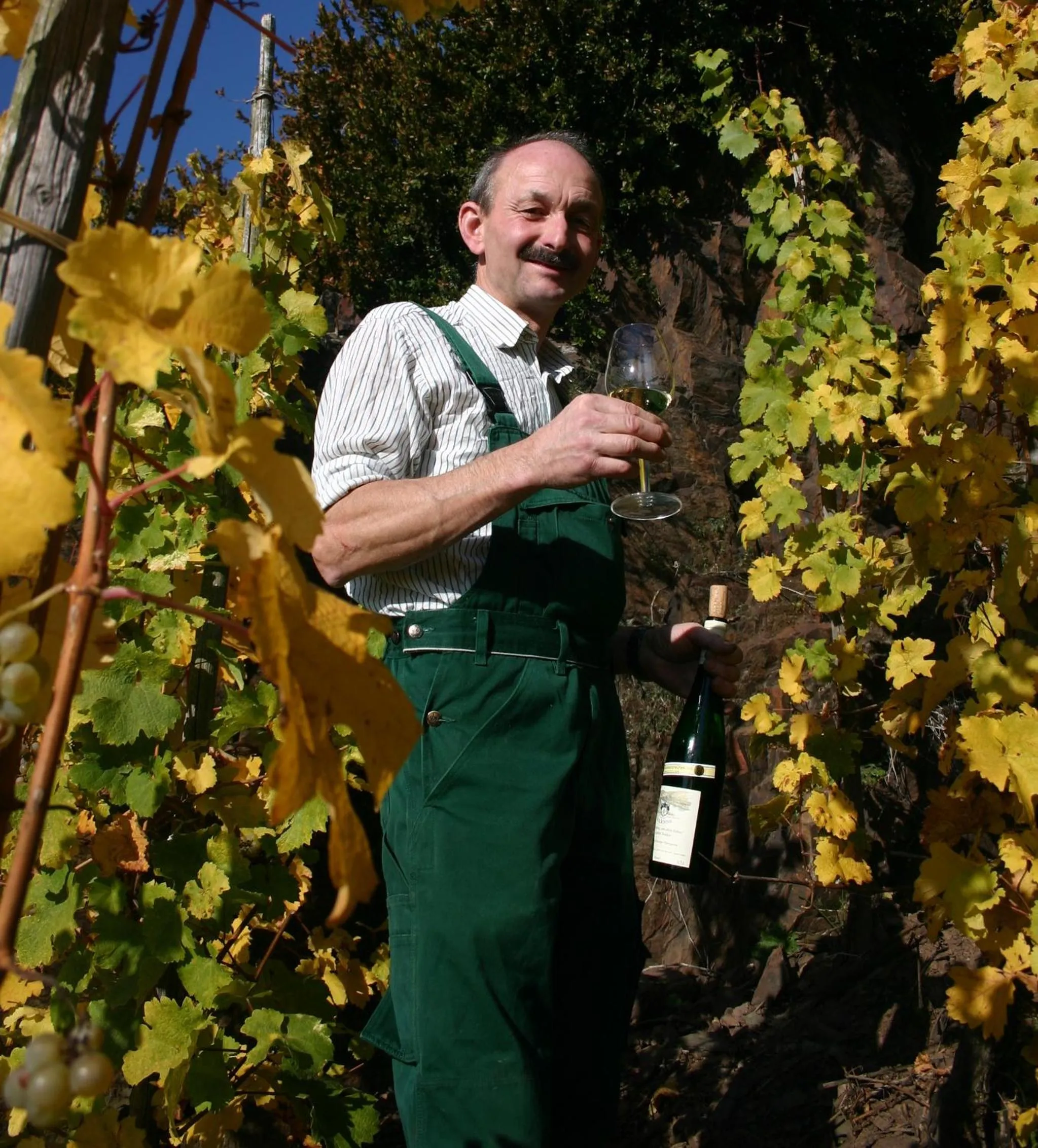 Restaurant/places to eat in Moselstern Hotel Zum guten Onkel