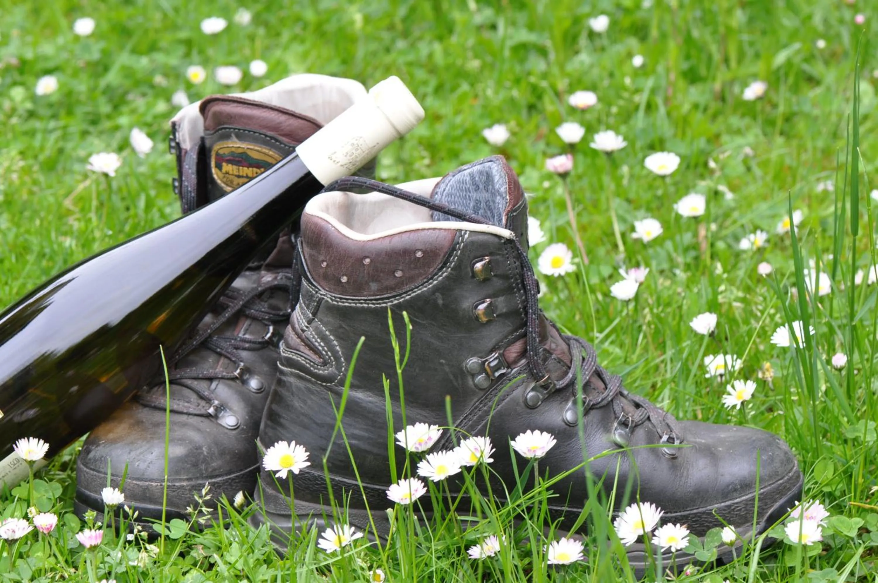 Other in Moselstern-Hotel "Weinhaus Fuhrmann"