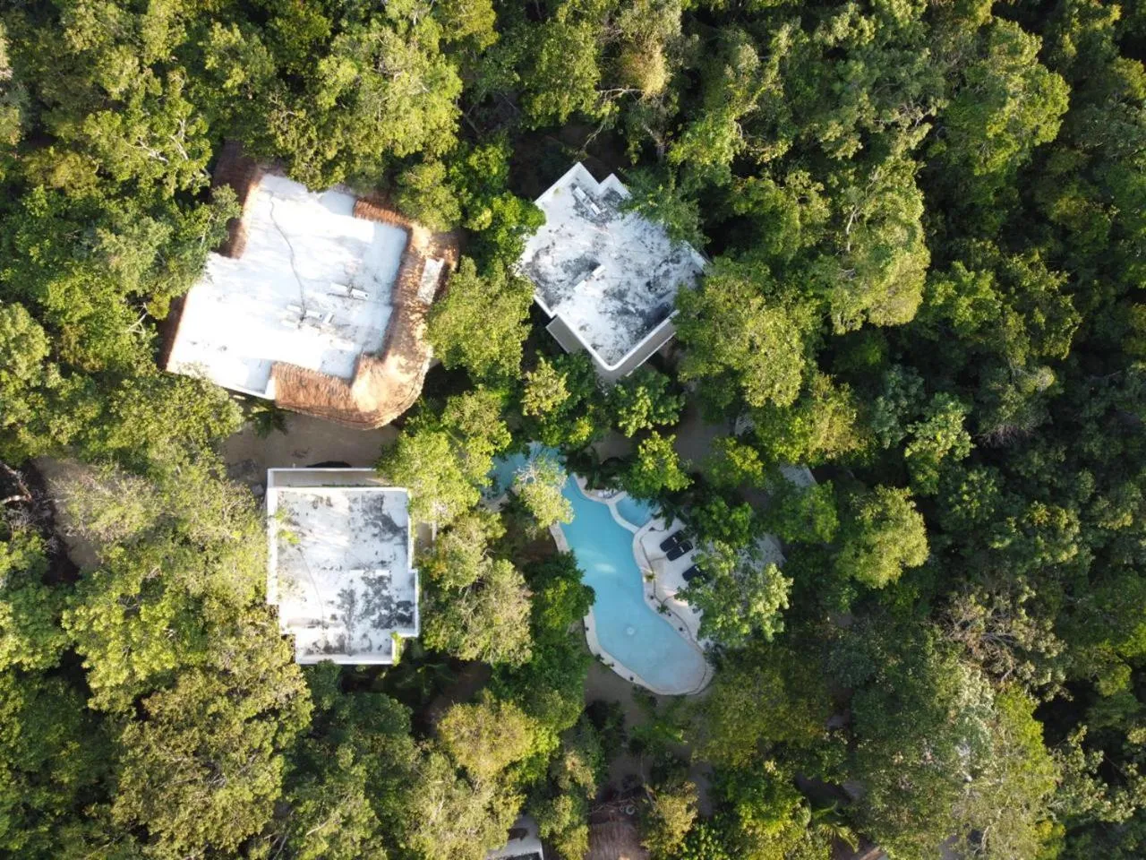 Bird's eye view in Cachito de Cielo Luxury Jungle Lodge