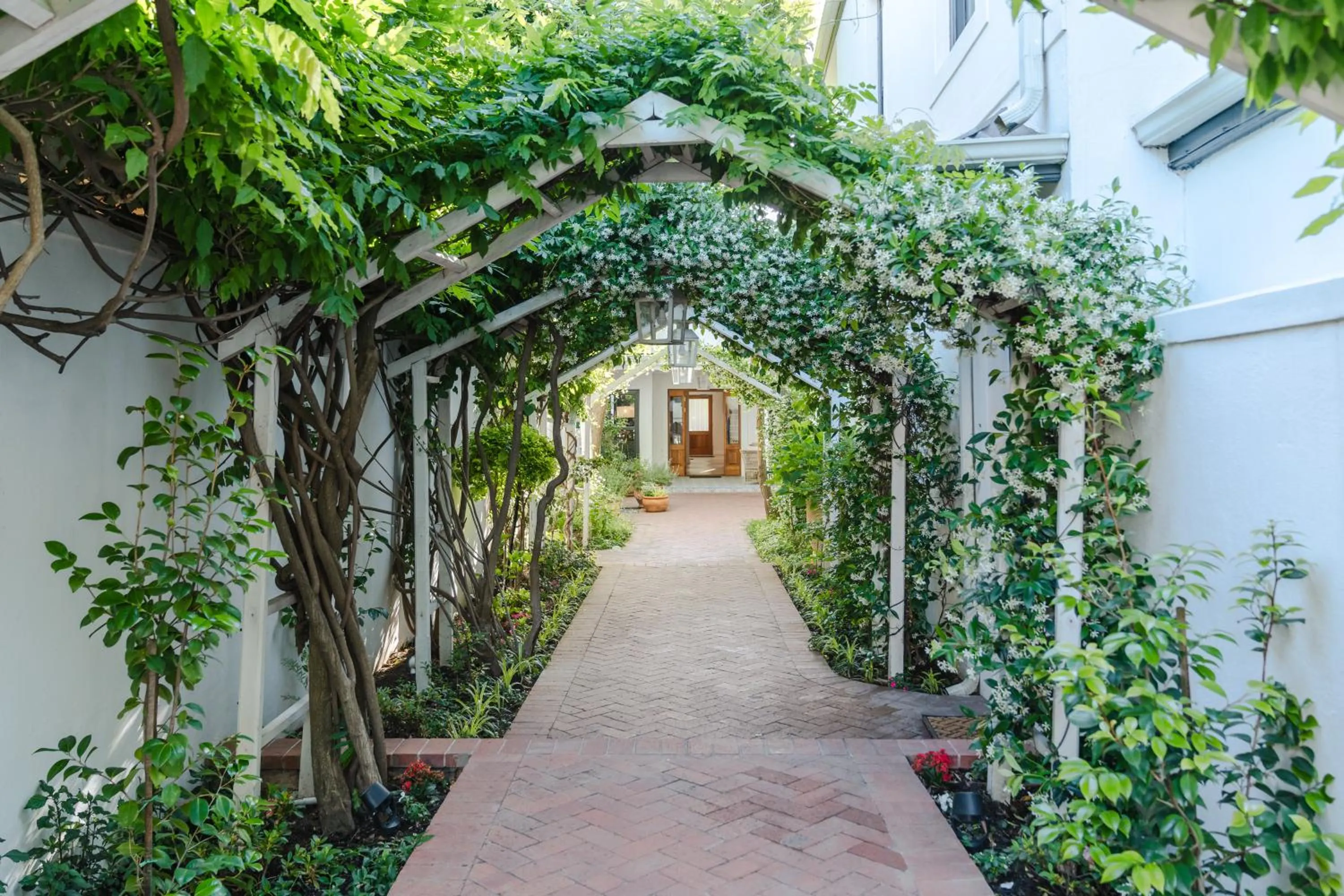 Last Word Franschhoek