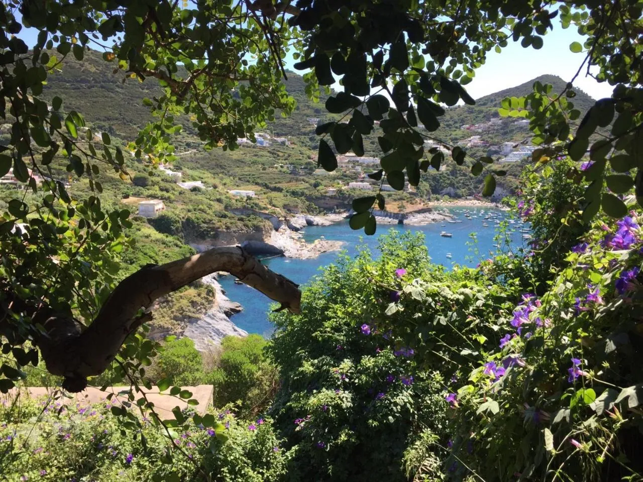 Natural landscape in Hotel Ortensia