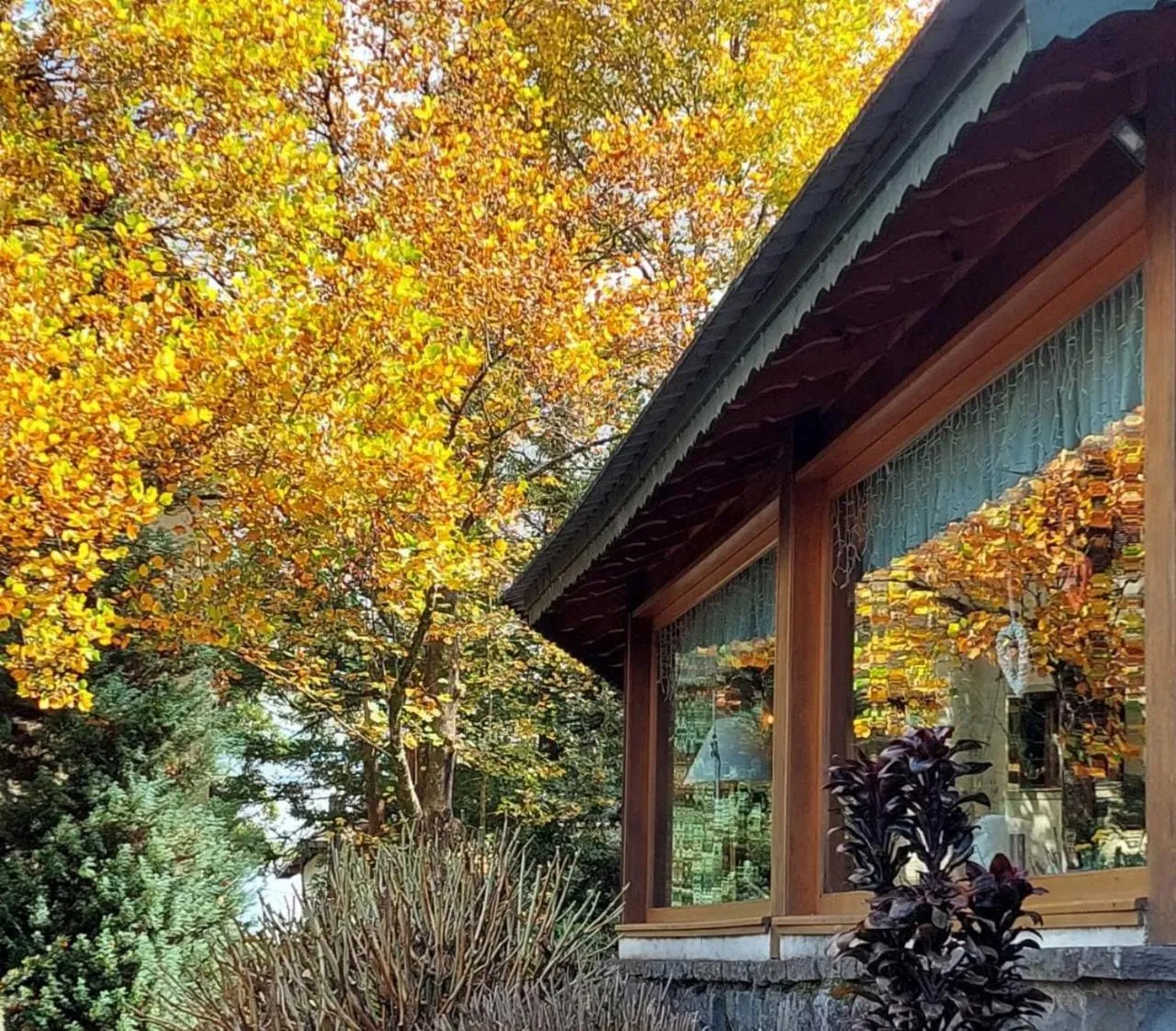 Natural landscape in Hotel das Hortênsias