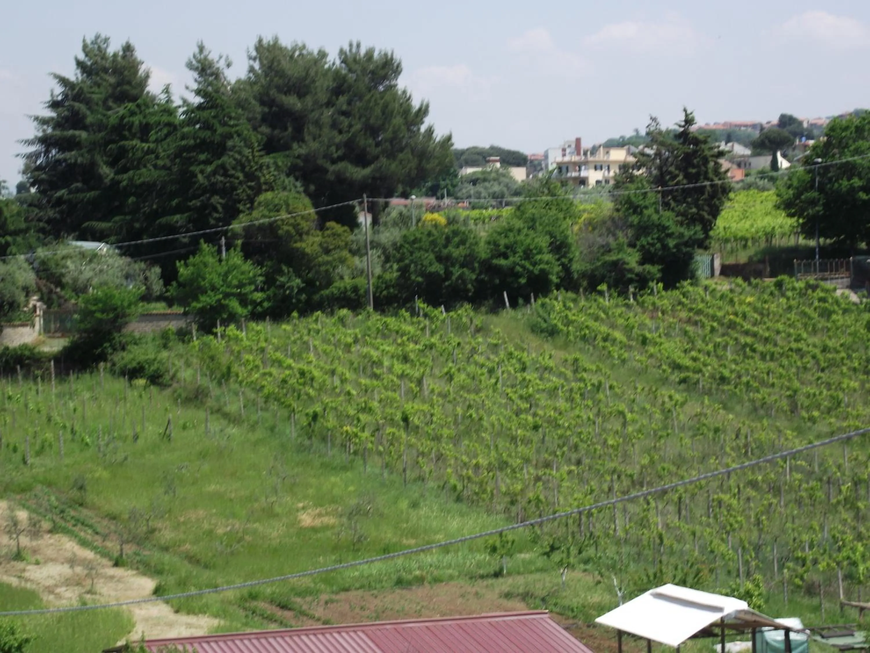 Natural landscape in Affittacamere Stranamore