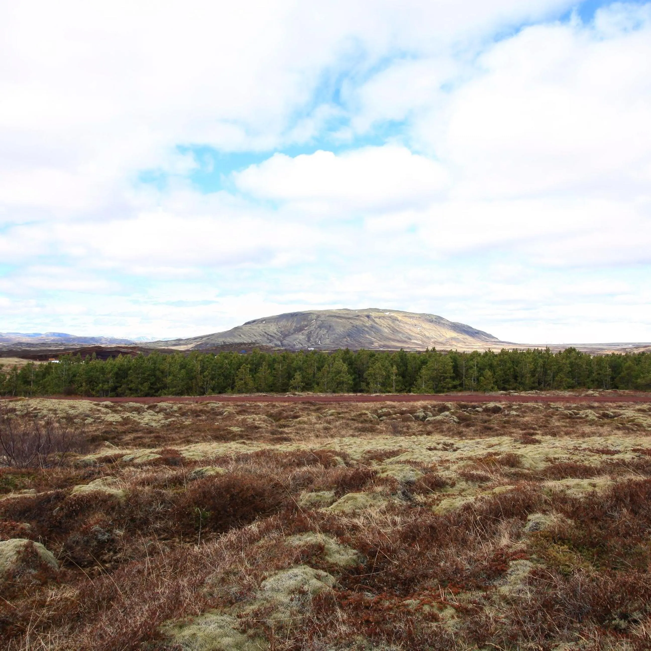 Kerbyggd: Luxury house and cottage in golden circle