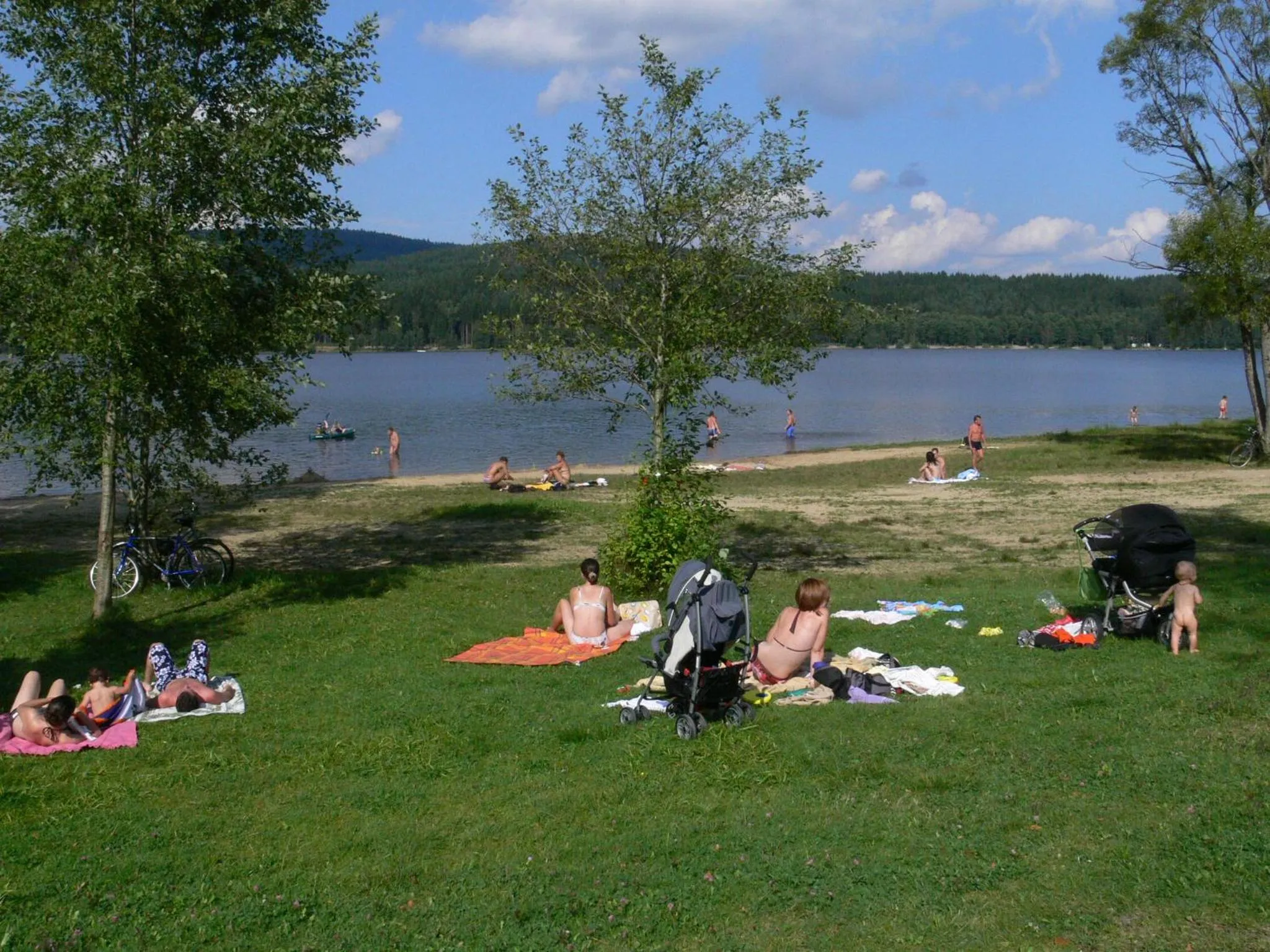 Beach in JBX Resort Hotel Albatros