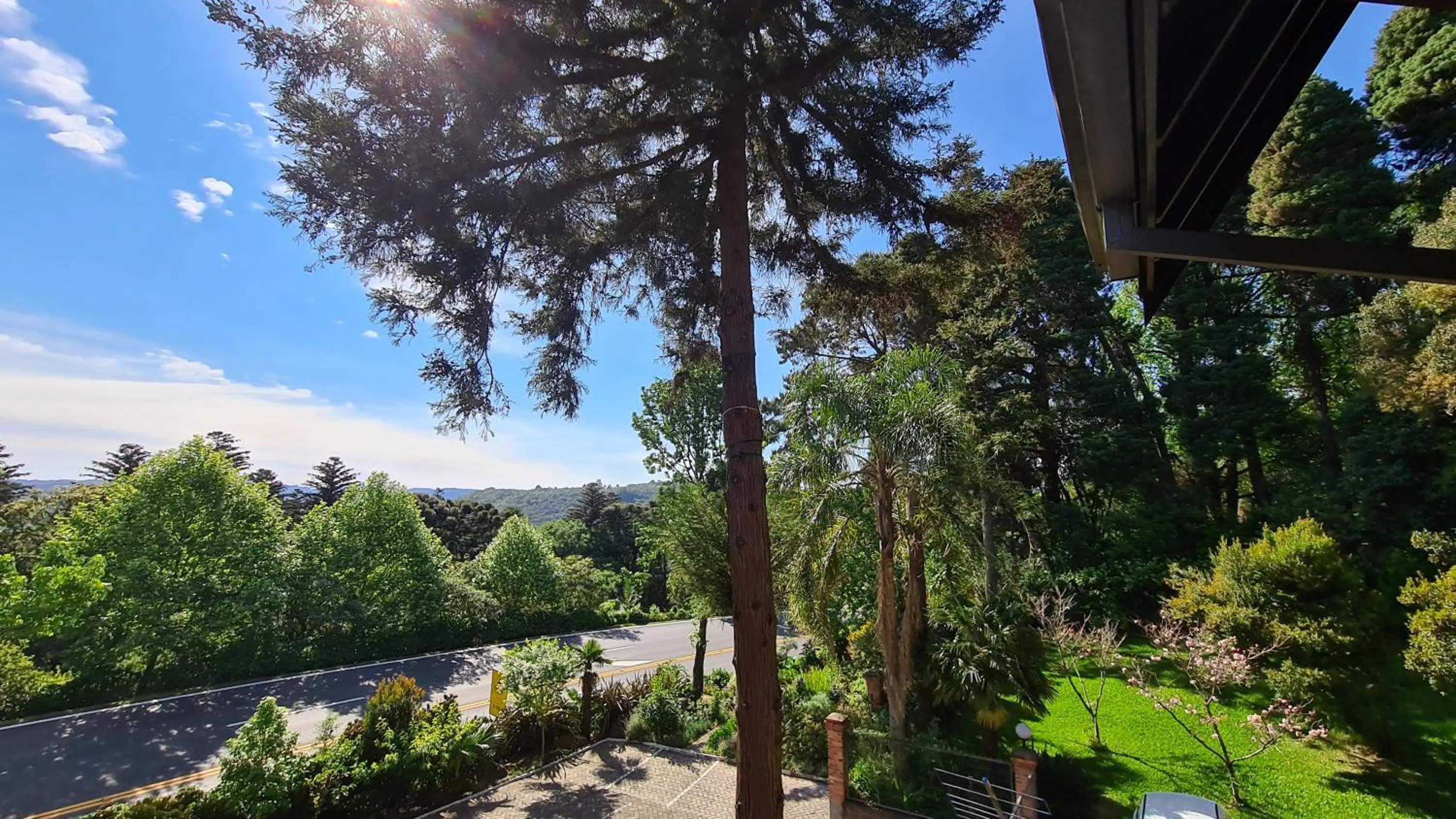 Garden view in Hotel Azaleia