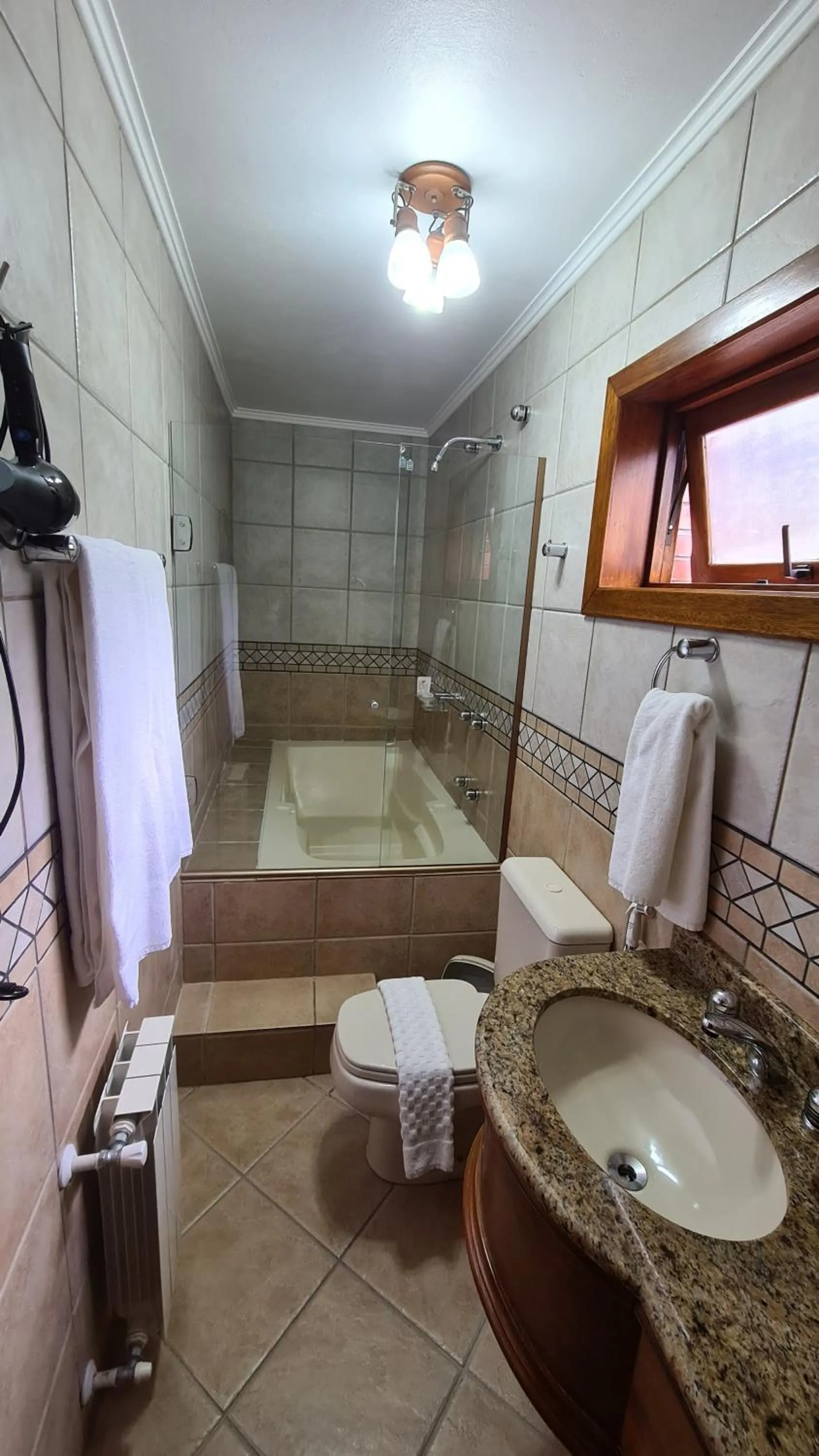 Toilet in Hotel Azaleia