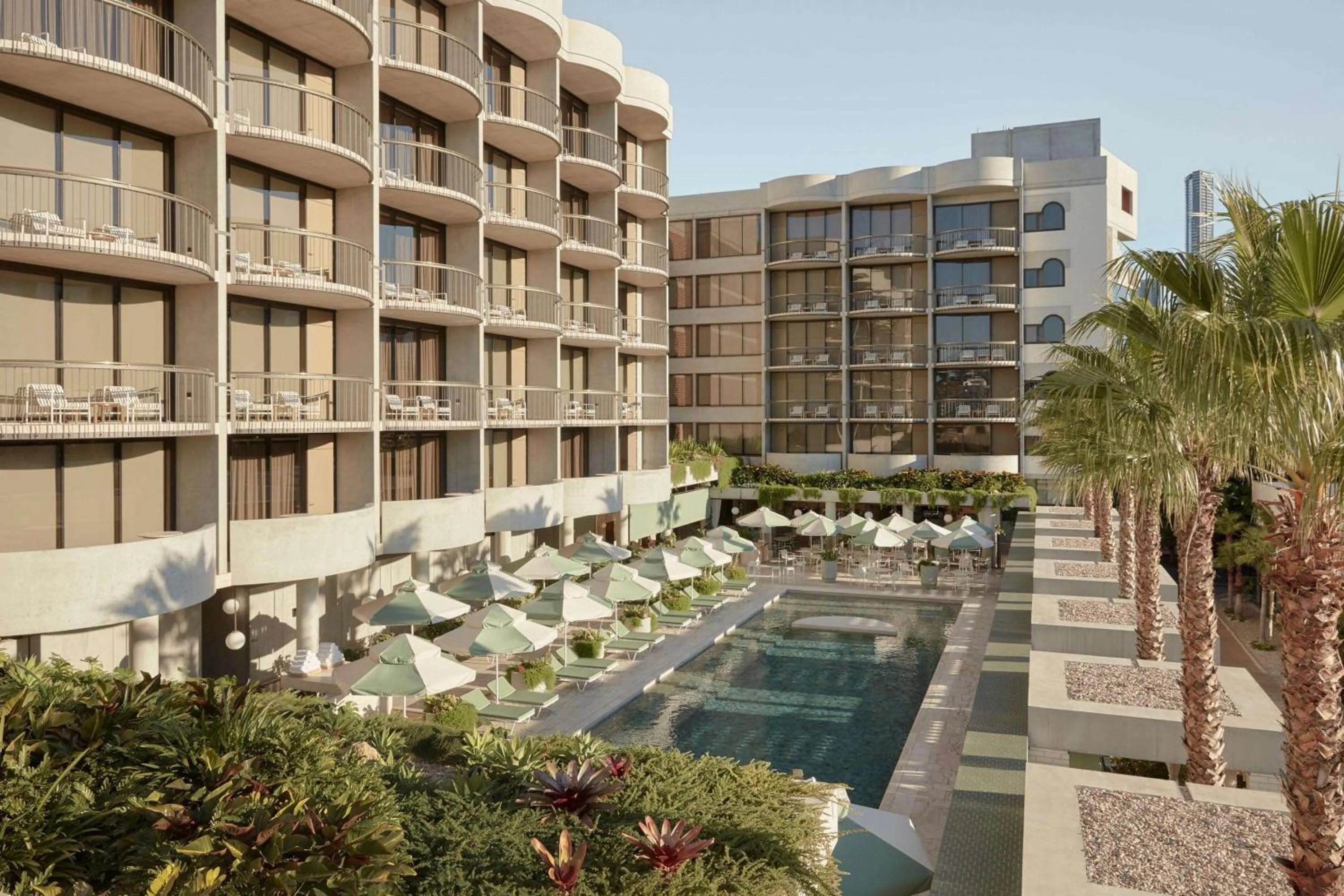 Pool view in The Calile Hotel