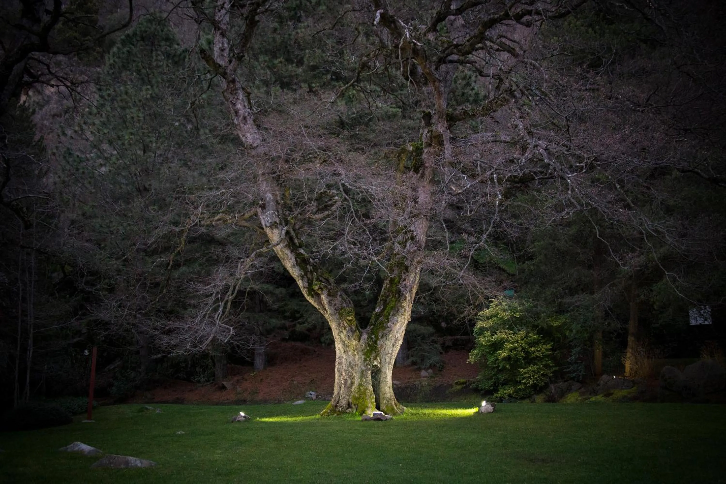 Garden in Rincón de los Andes Resort