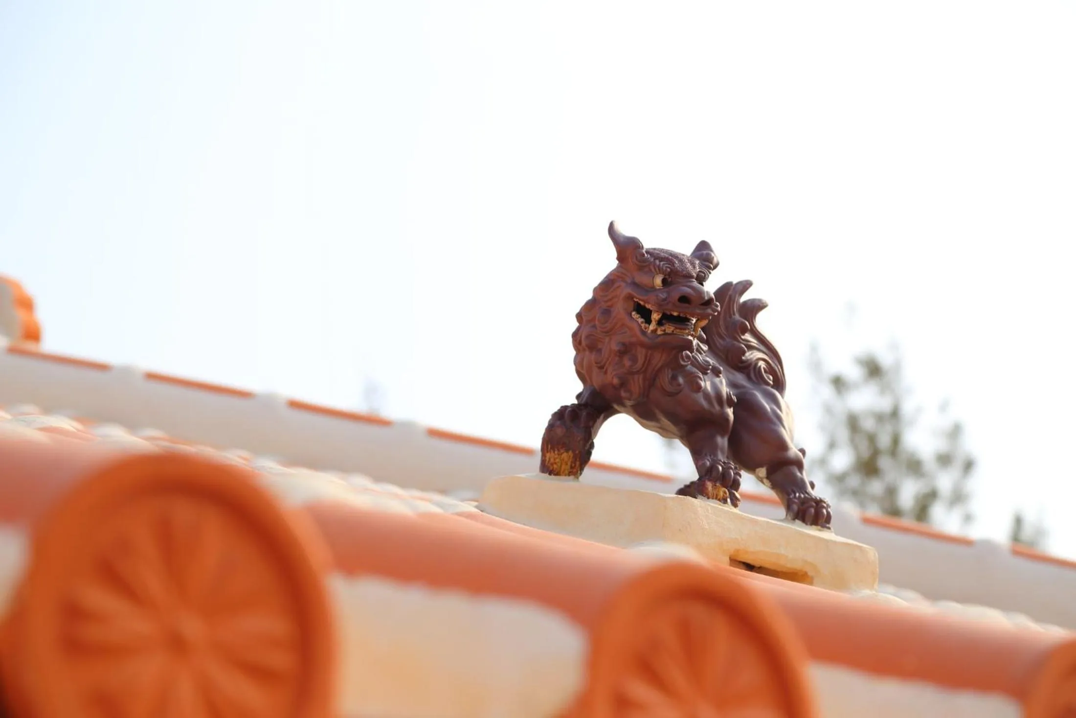 Tabinoteitaku Okinawa Nakijin HOMANN CONCEPT