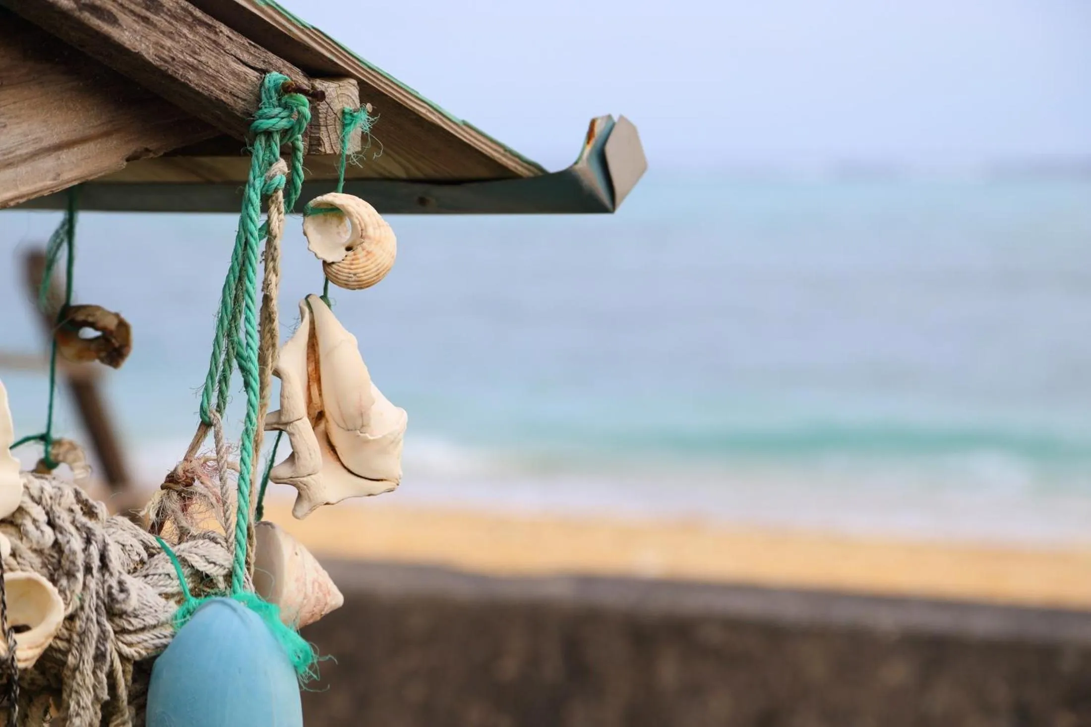 Tabinoteitaku Okinawa Nakijin HOMANN CONCEPT