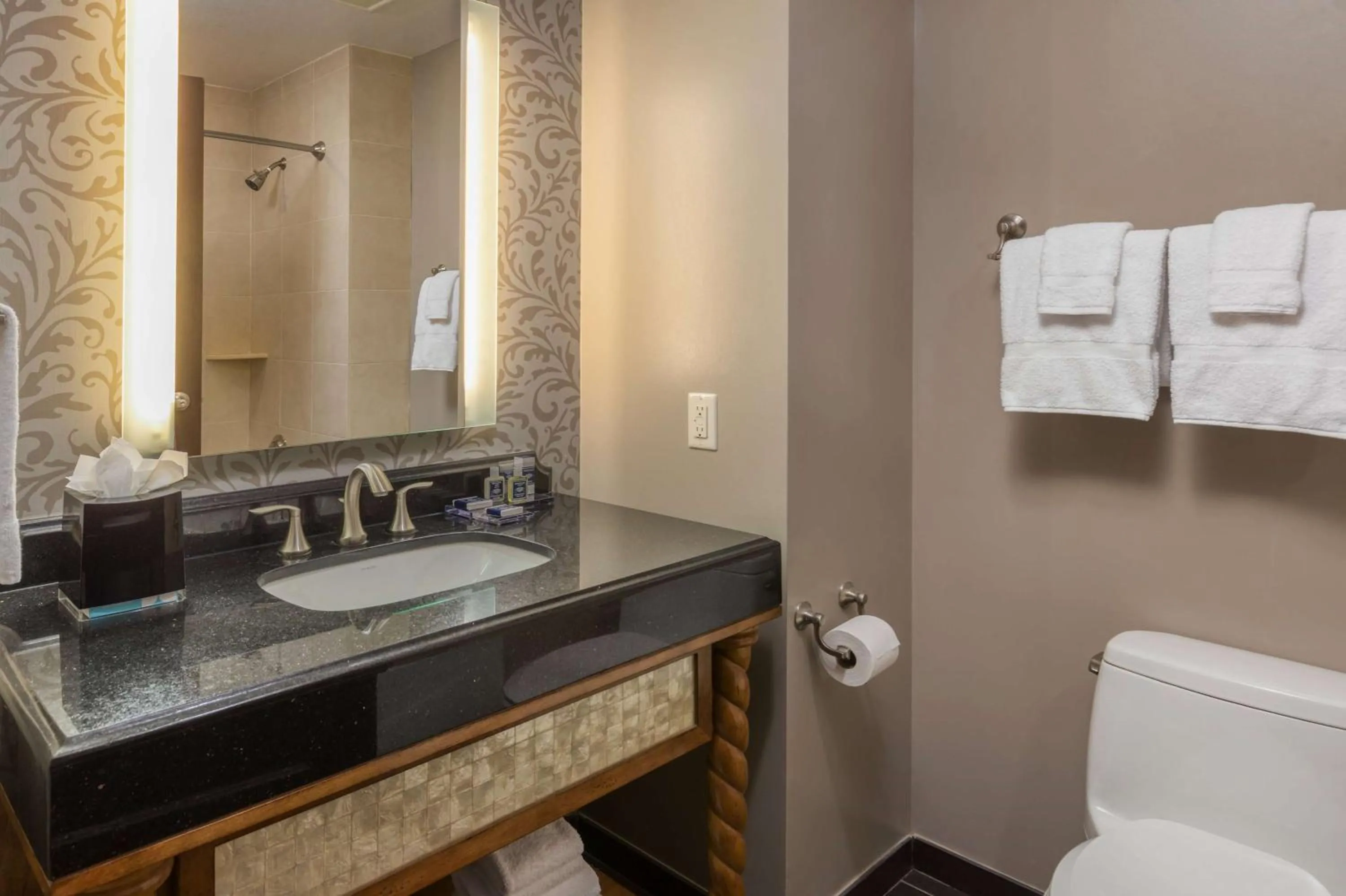 Bathroom in Wyndham Grand Orlando Resort Bonnet Creek