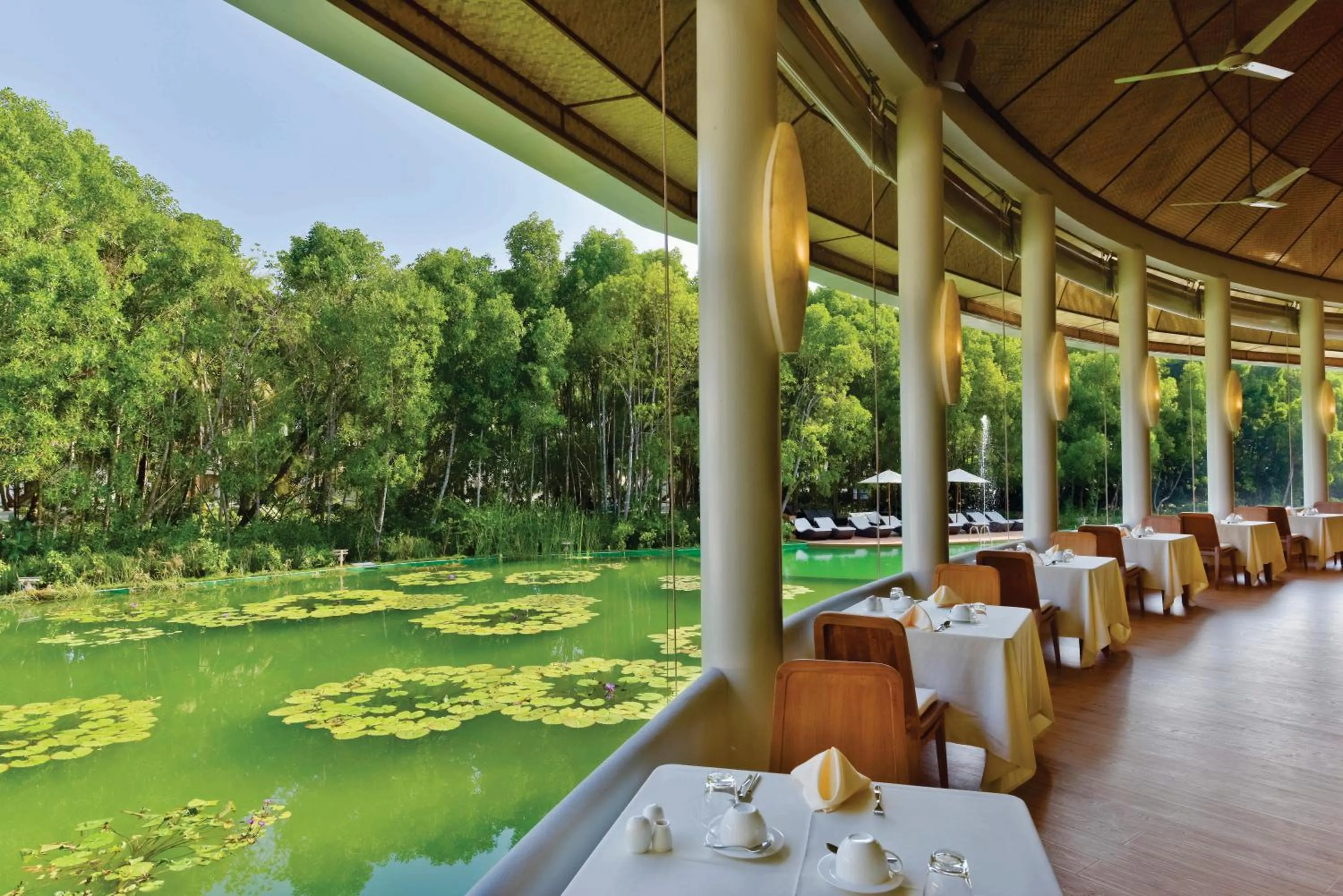 Restaurant/places to eat in Dreamland Maldives Resort