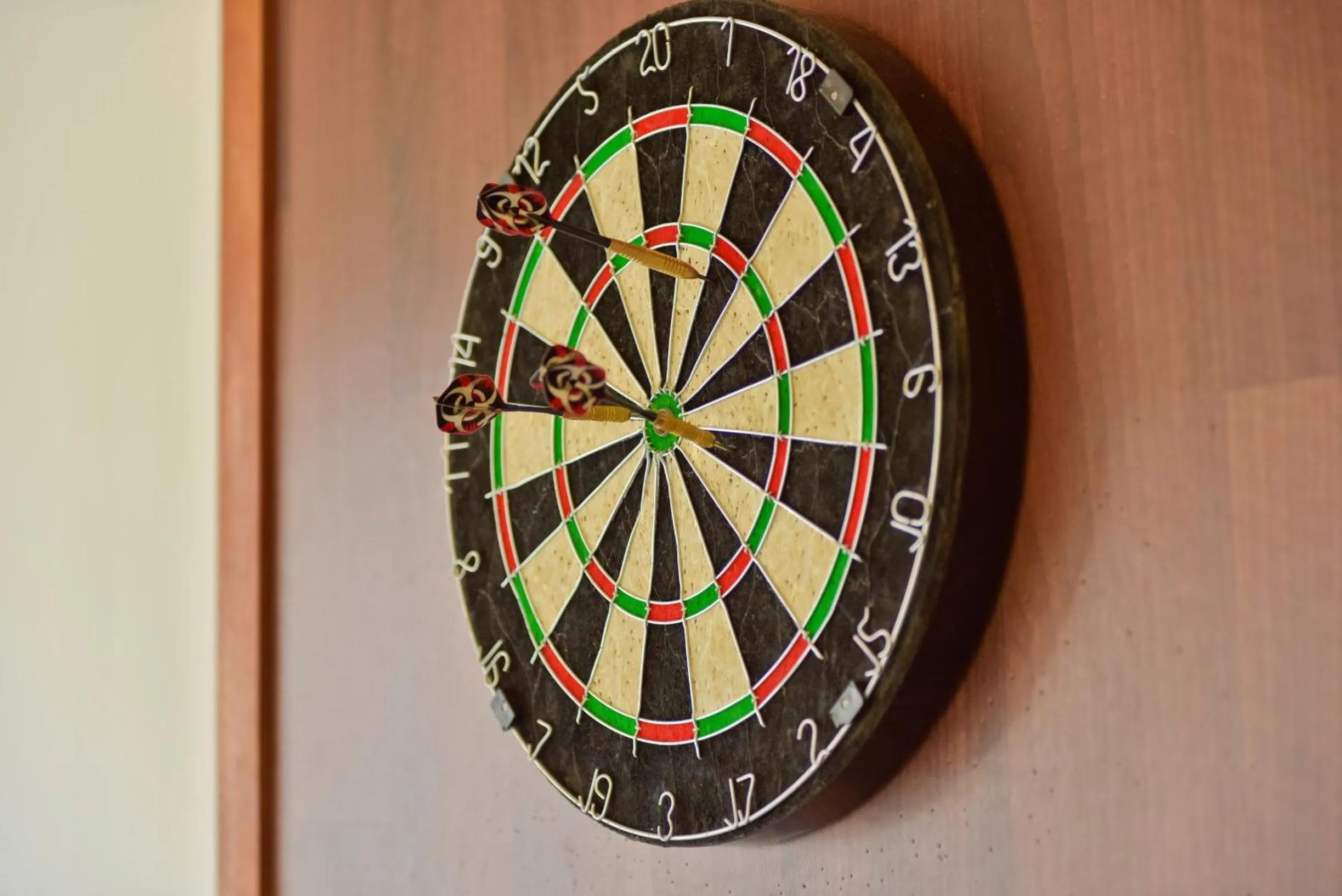 Darts in Dreamland Maldives Resort