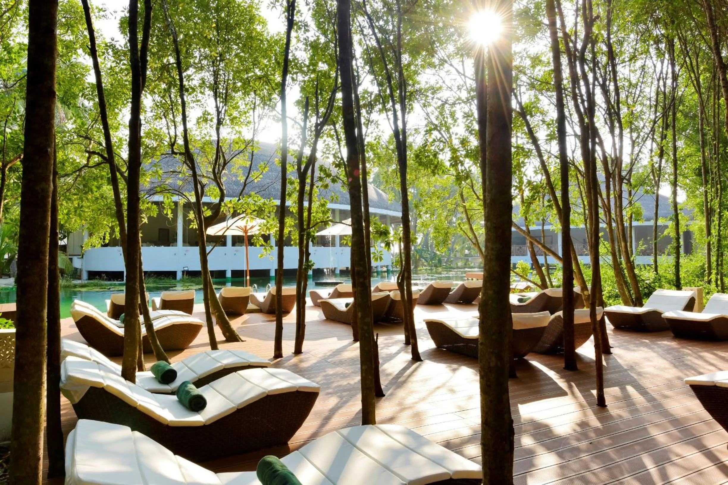 Natural landscape in Dreamland Maldives Resort