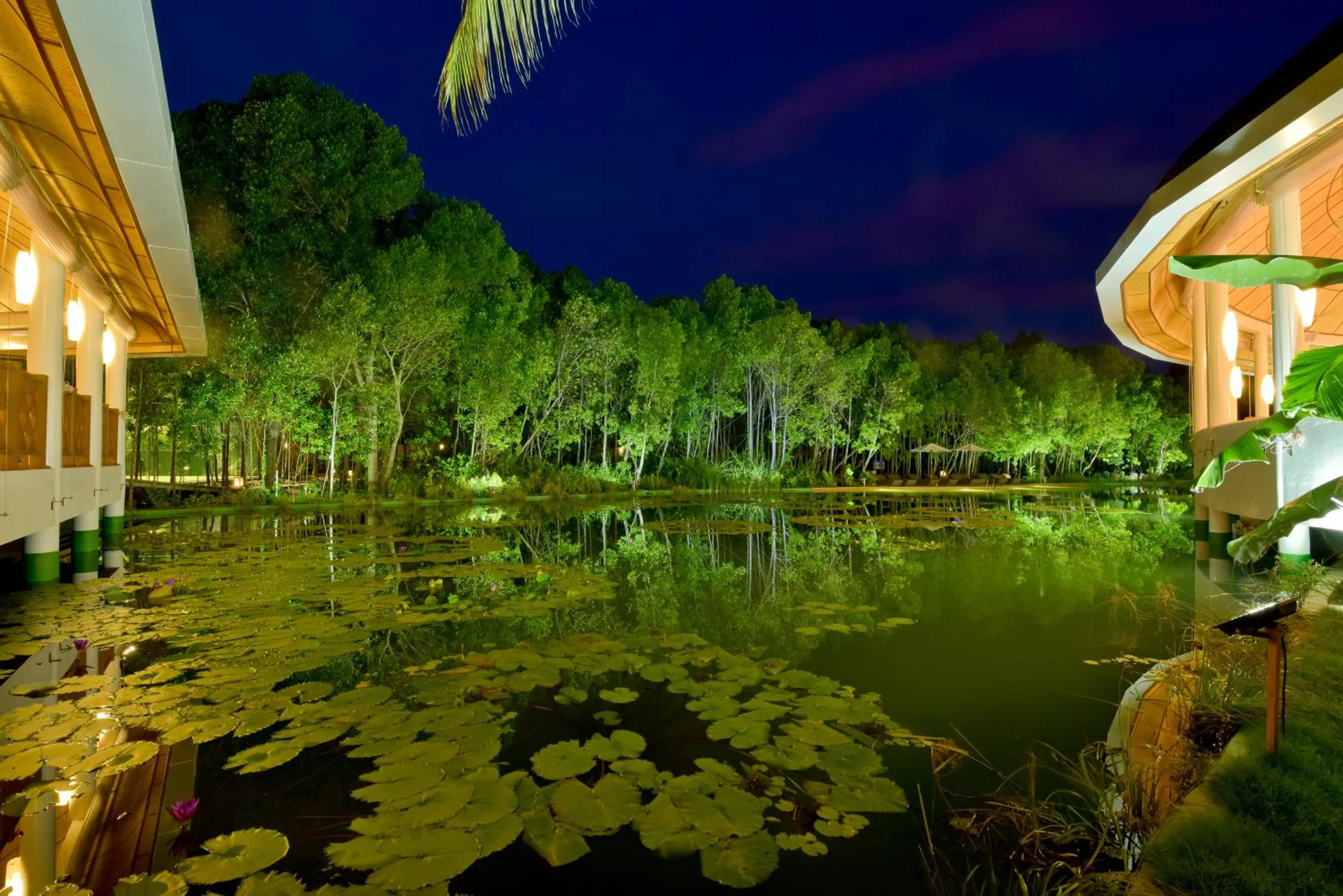 Natural landscape in Dreamland Maldives Resort
