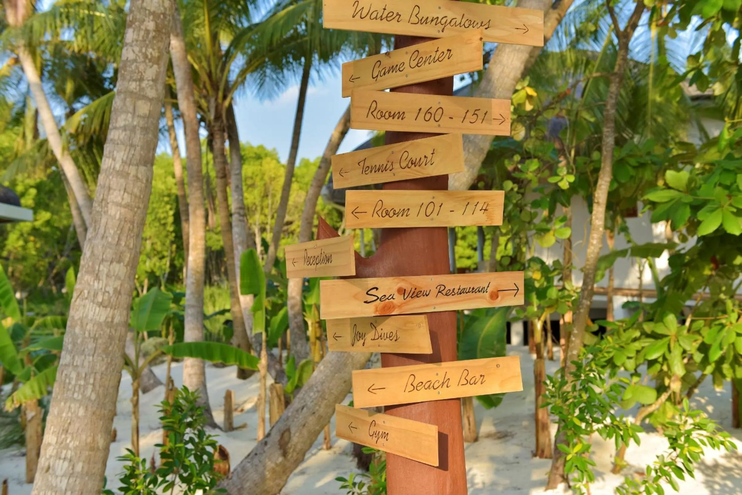 Text overlay in Dreamland Maldives Resort