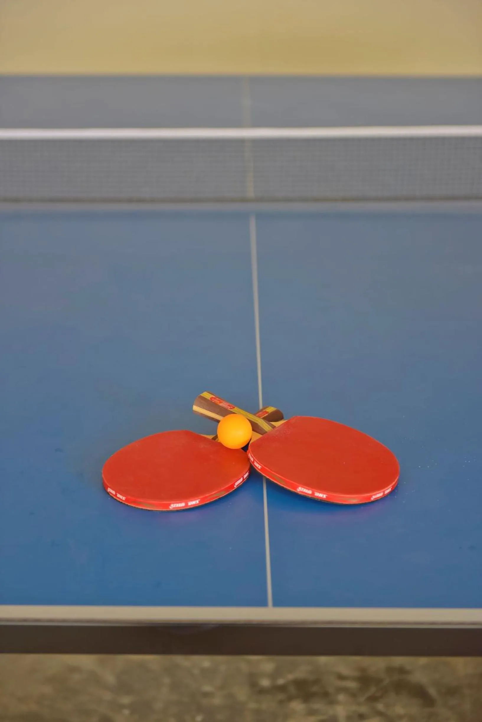 Table tennis in Dreamland Maldives Resort