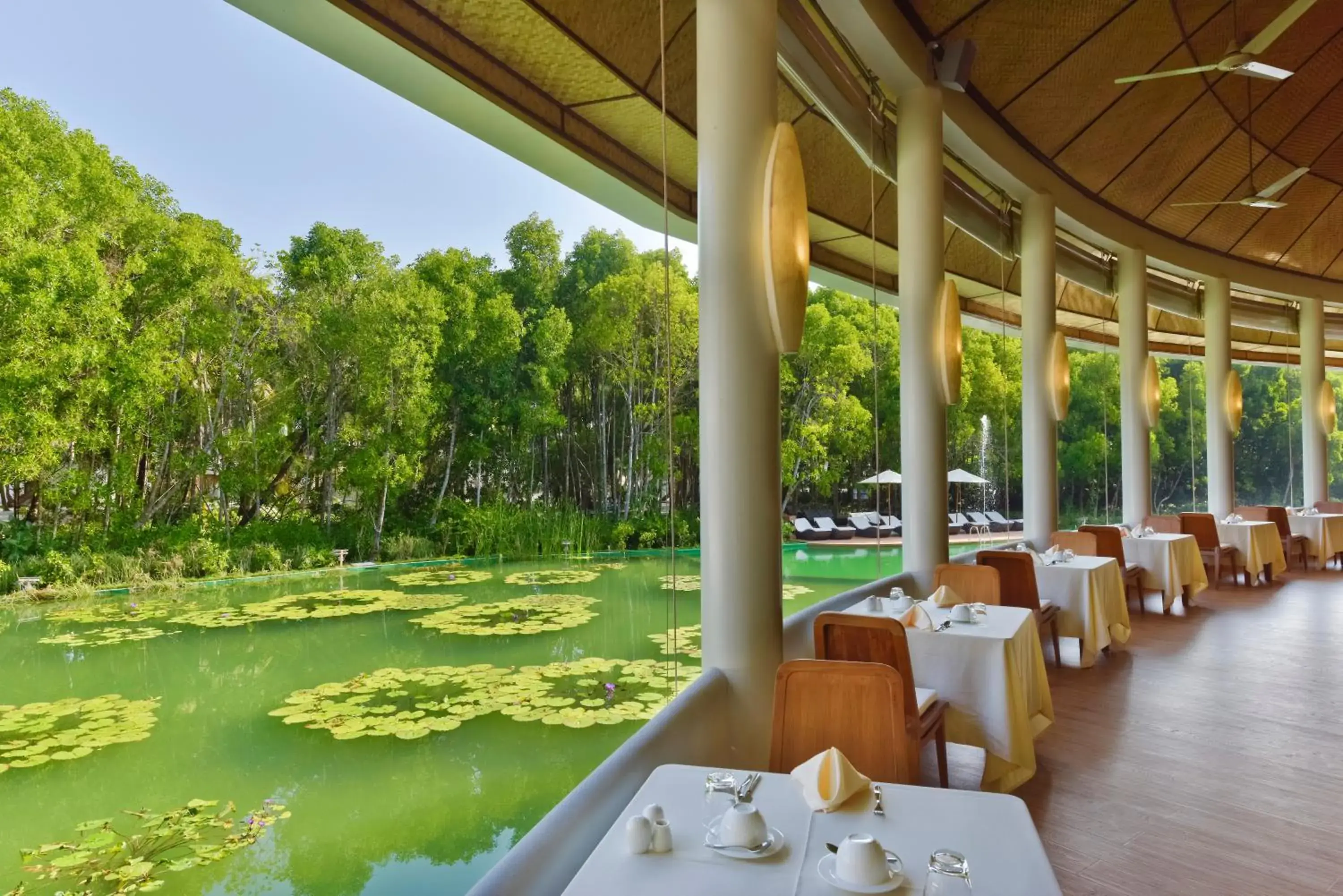 Restaurant/places to eat in Dreamland Maldives Resort Restaurant/places to eat in Dreamland Maldives Resort