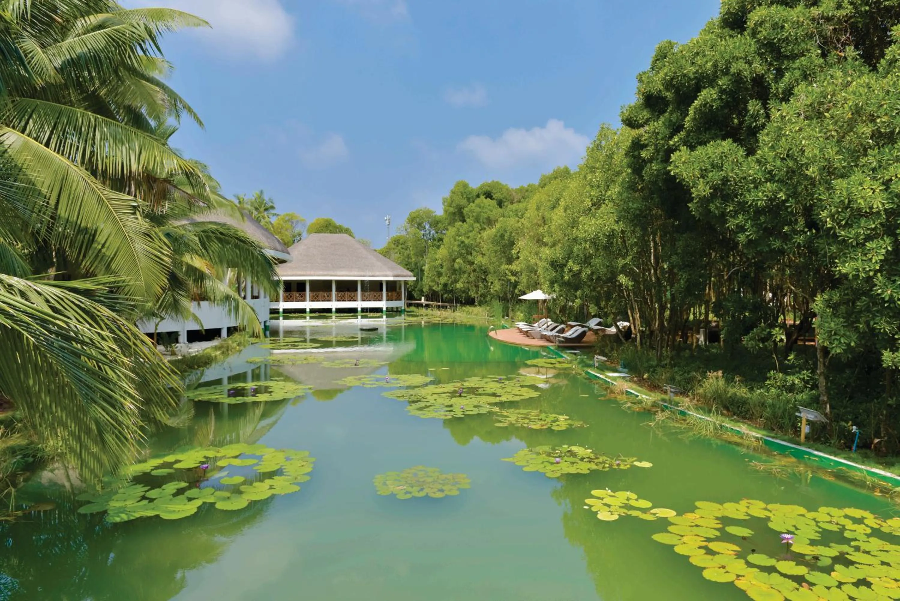 Pool view in Dreamland Maldives Resort
